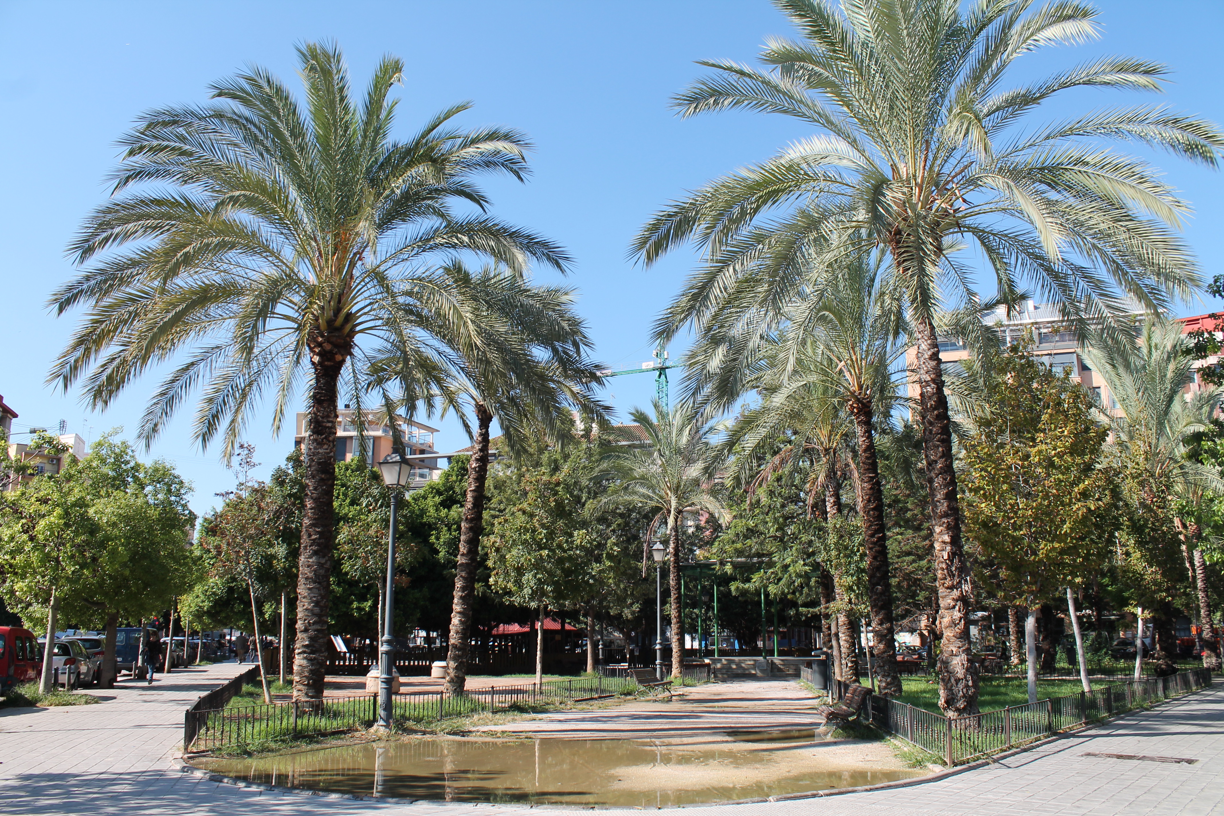 Images Parking Parkia Doctor Waksman. Valencia
