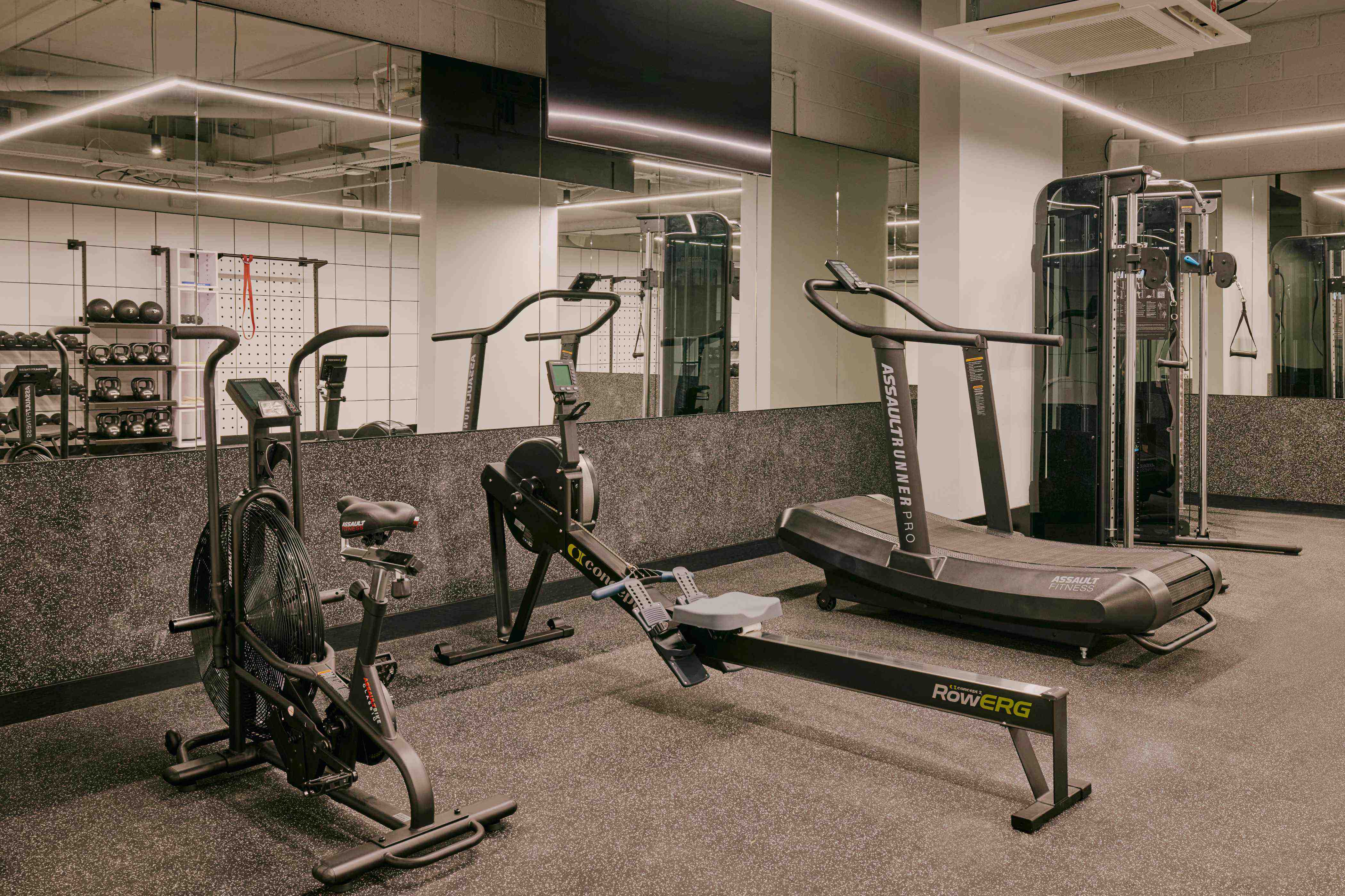 Gym : Ember Locke, Kensington