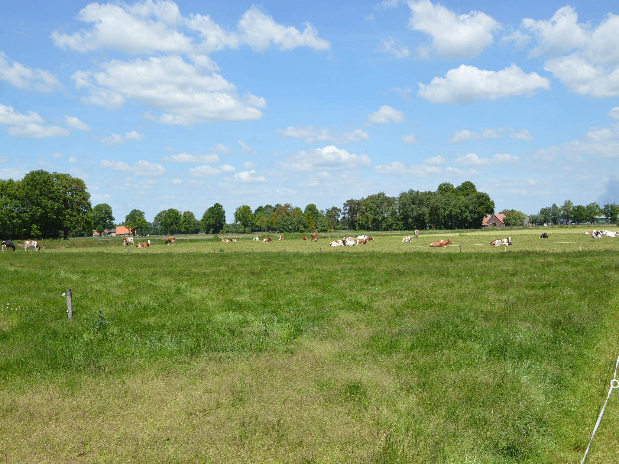 Foto's Leuk appartement in Haaksbergen met uitzicht op weilanden - Belvilla by Oyo