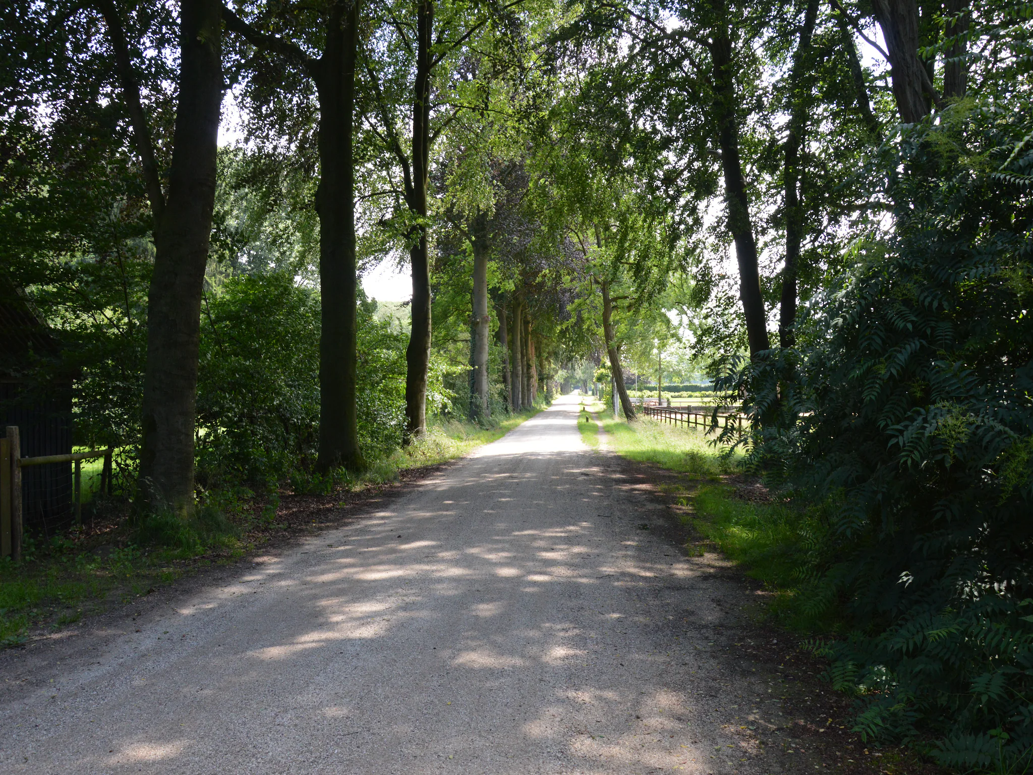 Foto's Gezellig vakantiehuis dicht bij het bos in Zelhem - Belvilla by Oyo