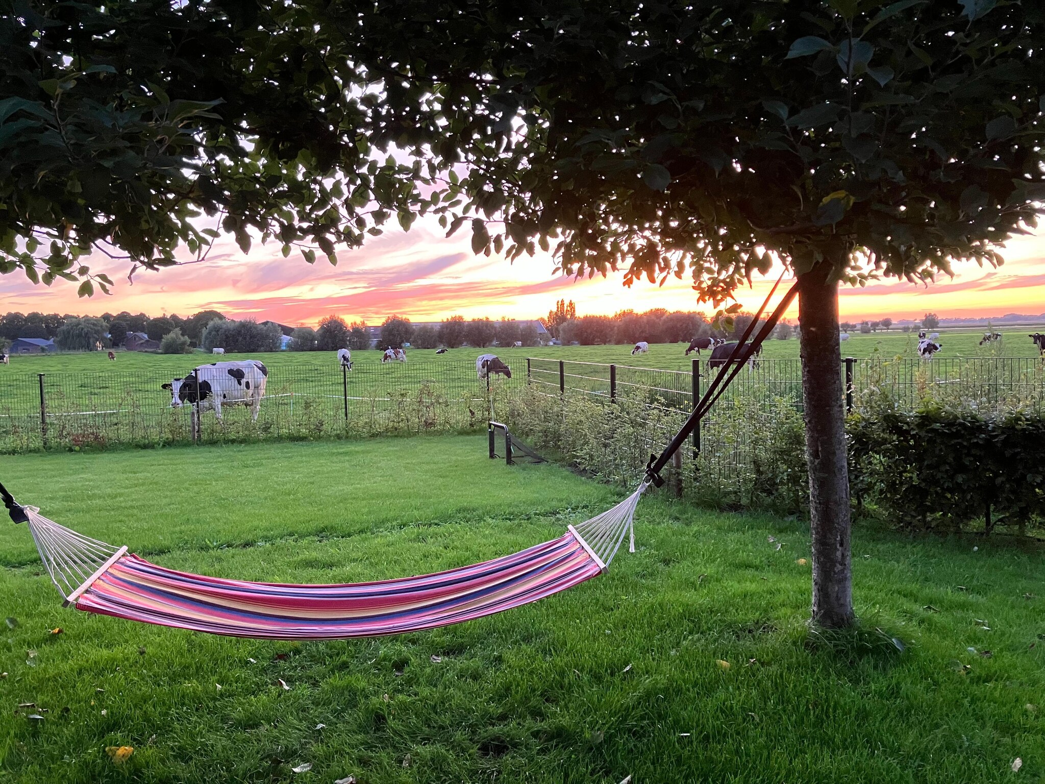Foto's The Old Farmhouse met privÃ©terras in Montfoort - Belvilla by Oyo