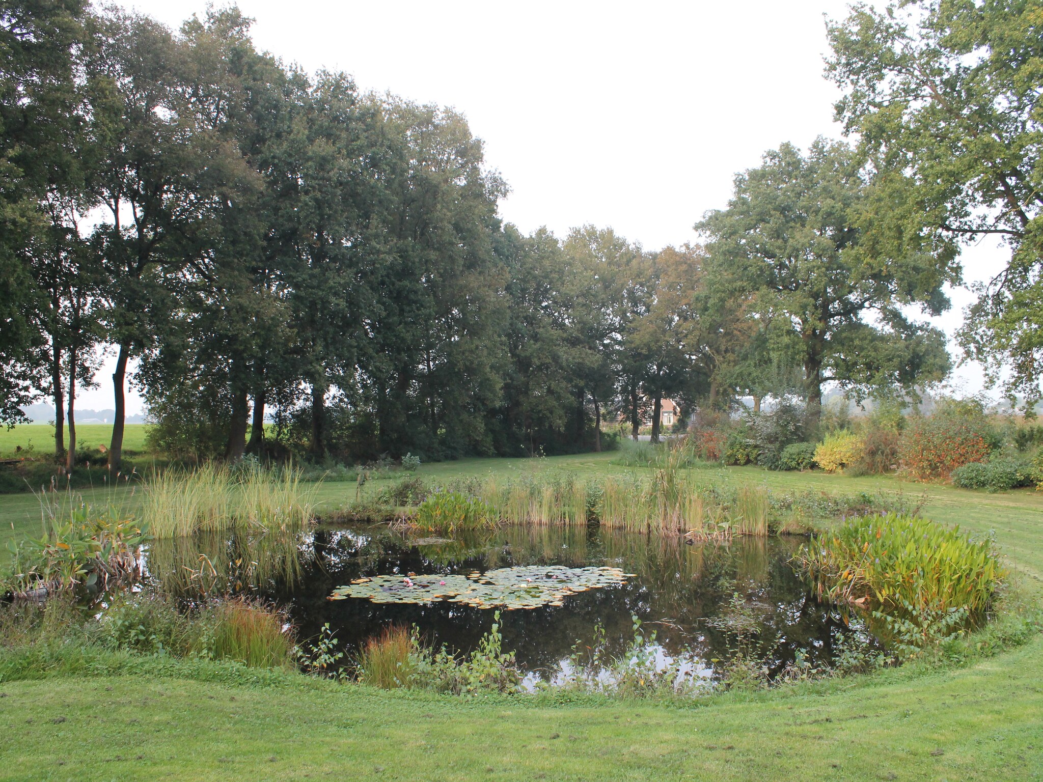 Foto's Villa met sauna bij de Sallandse heuvelrug - Belvilla by Oyo