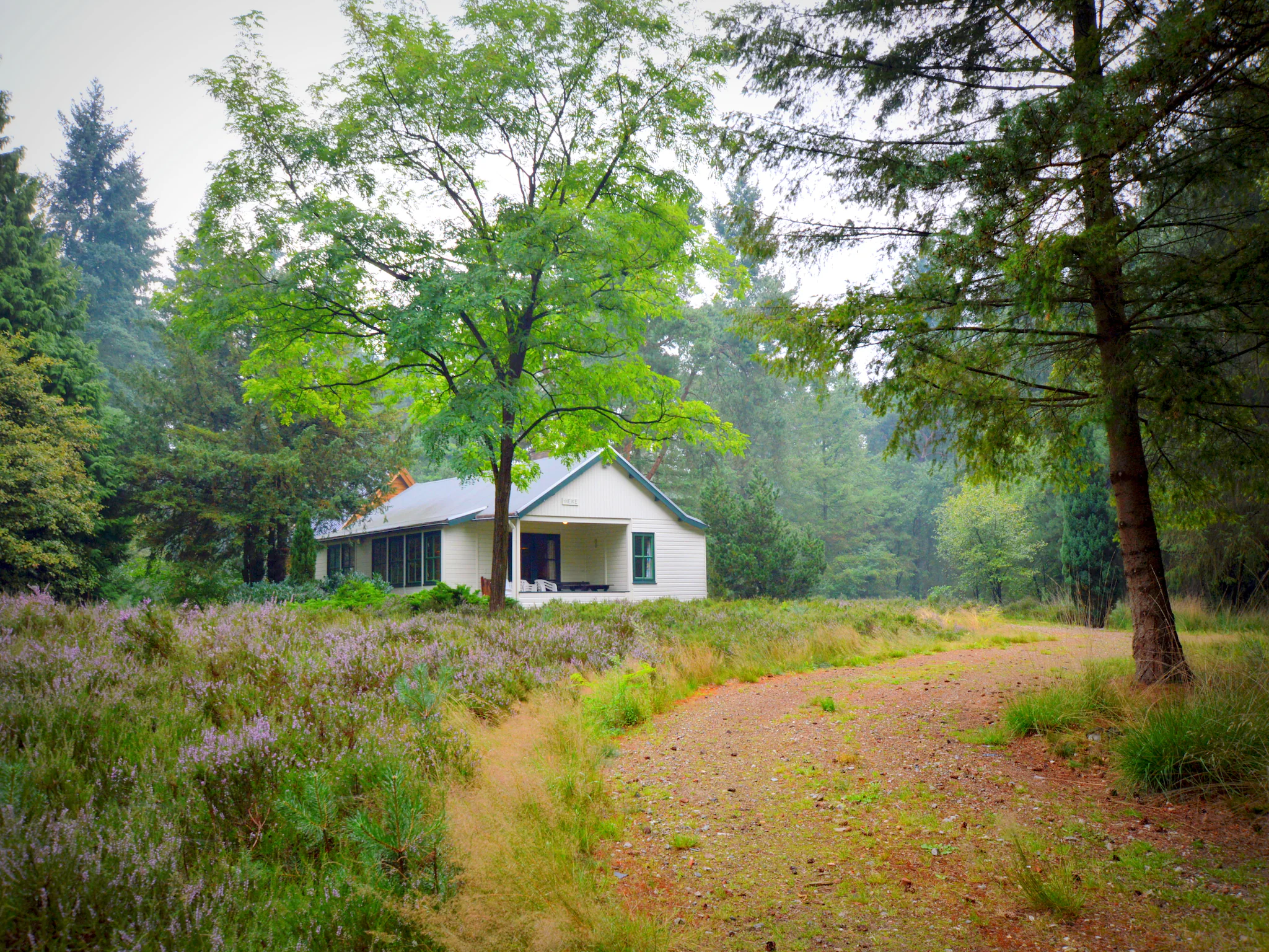 Foto's Houten vakantiehuis in Maarheeze midden op de heide - Belvilla by Oyo
