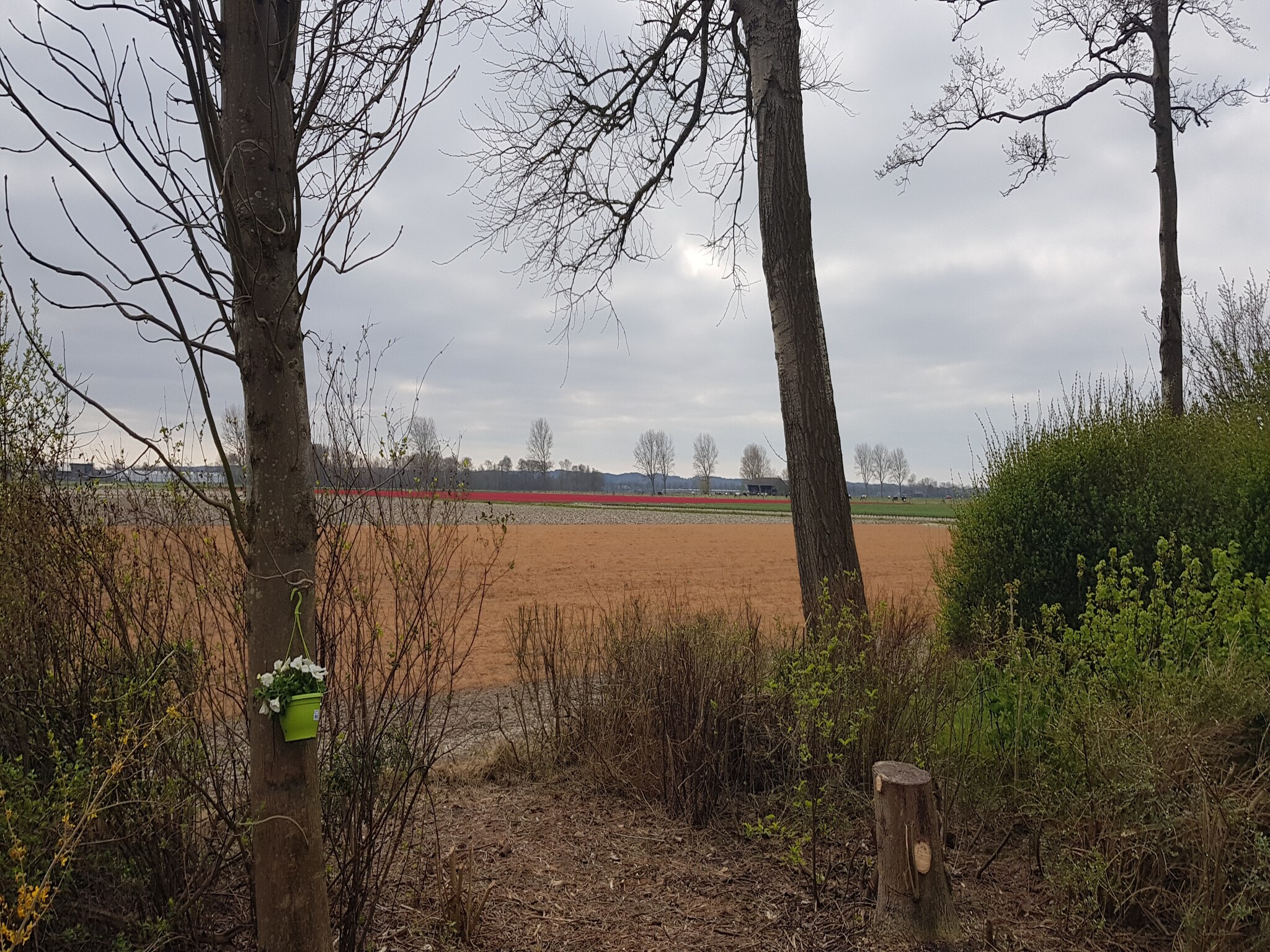 Foto's Huisje met weids uitzicht en tuin op het zuiden - Belvilla by Oyo