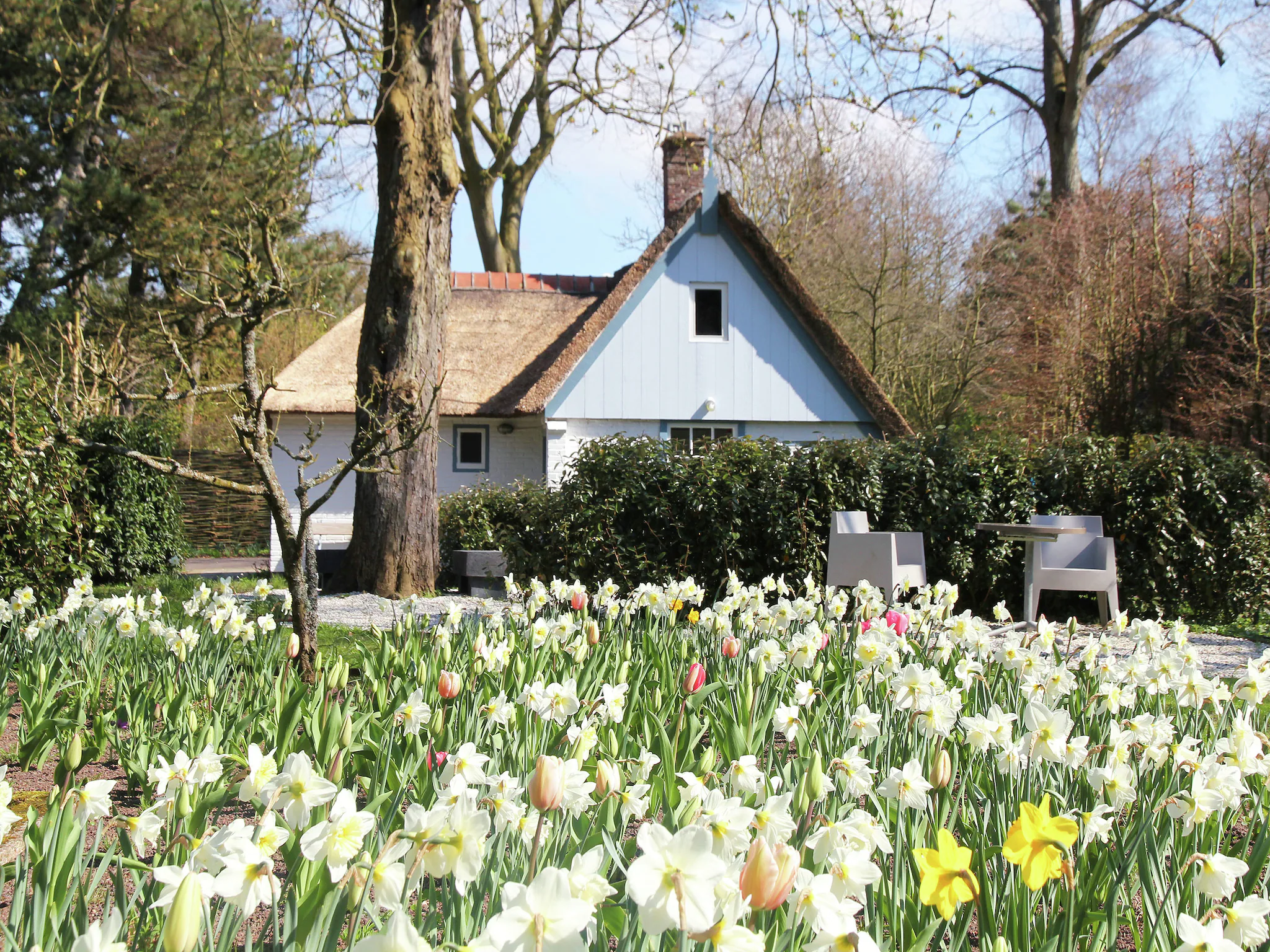 Foto's Romantische boerderij vlakbij het bos - Belvilla by Oyo