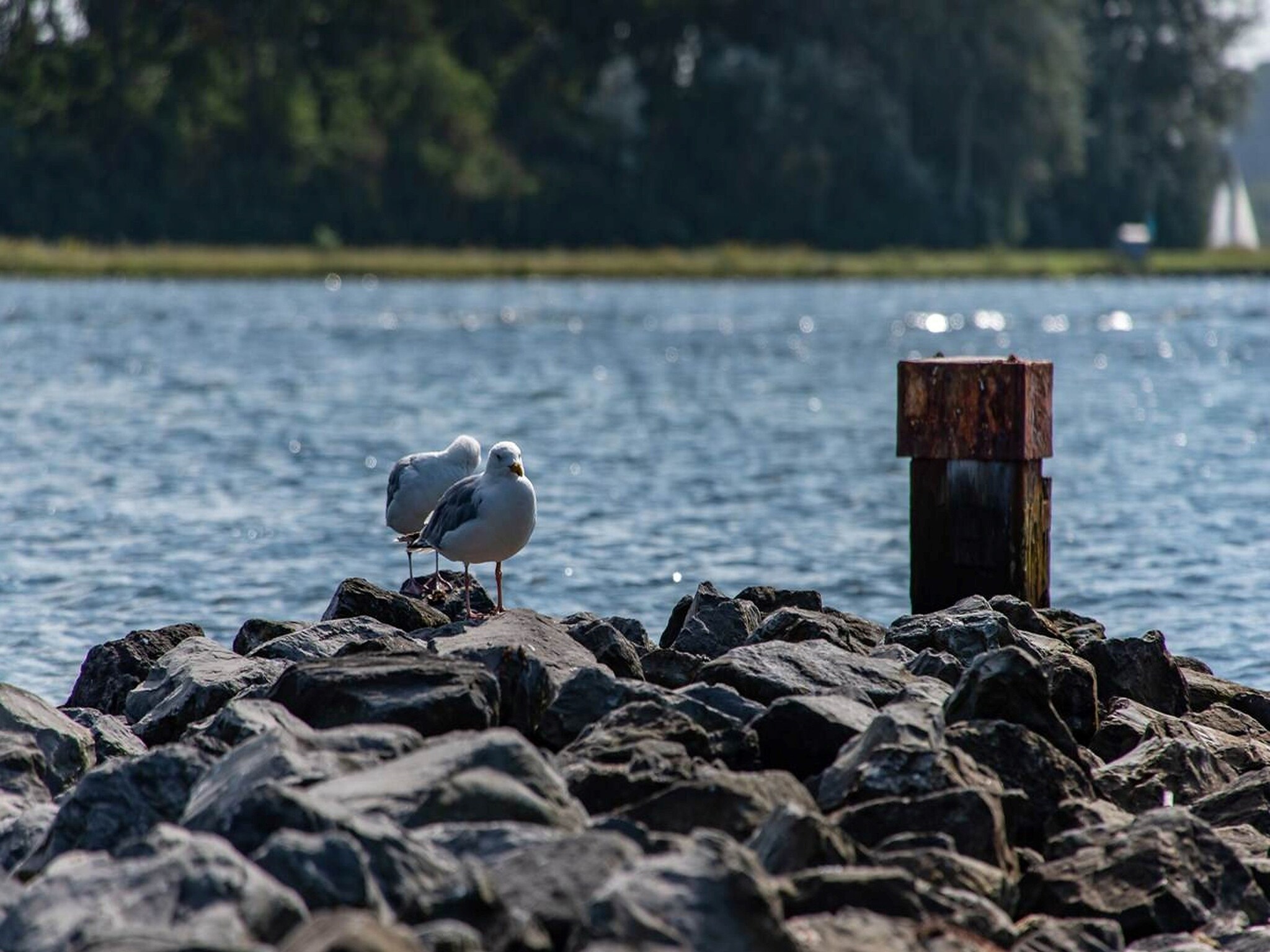 Foto's Prachtig vakantiehuis aan het Veerse Meer - Belvilla by Oyo