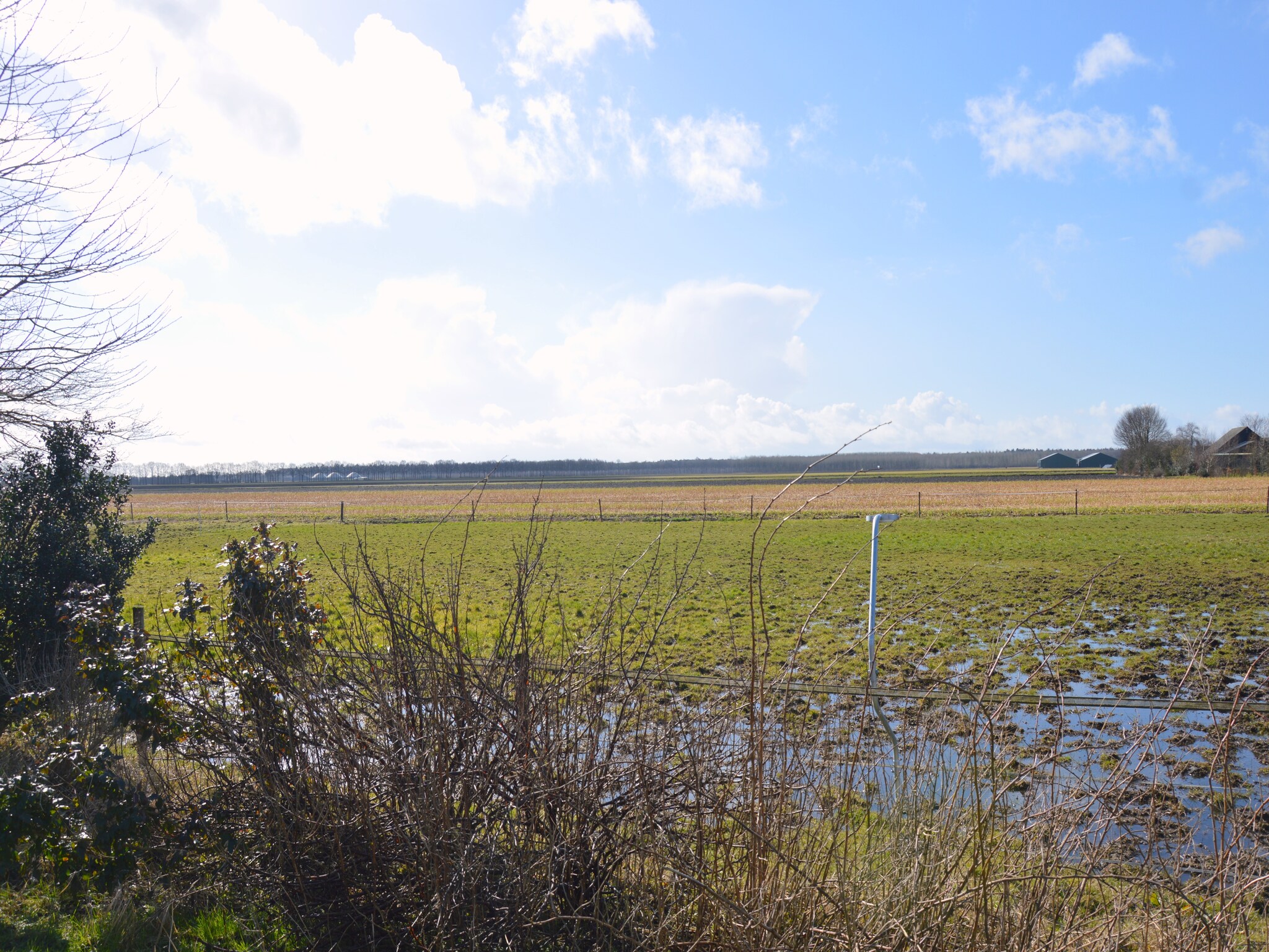 Foto's Vakantiehuis met uitzicht over de weilanden - Belvilla by Oyo