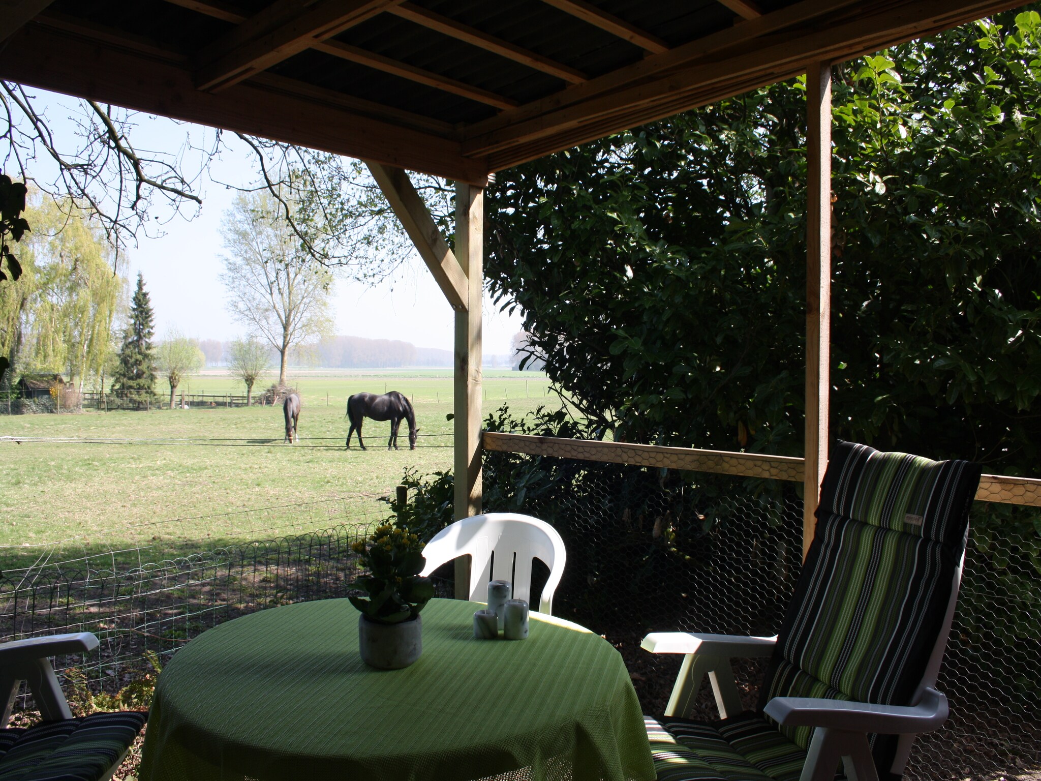 Foto's Rustig gelegen vakantiewoning in Zeeuws - Belvilla by Oyo