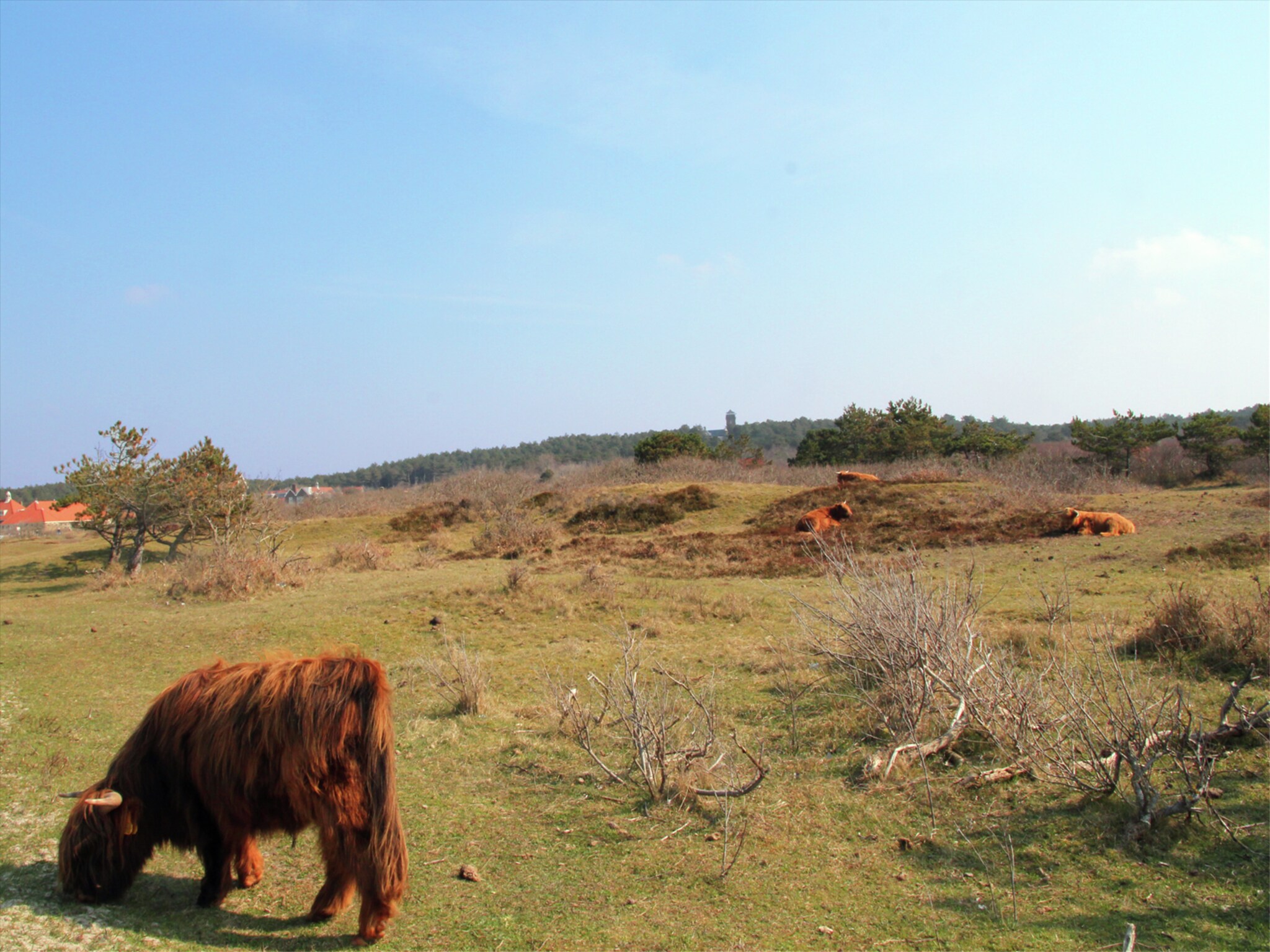 Foto's Sprookjesachtige cottage tussen bos en dorp - Belvilla by Oyo