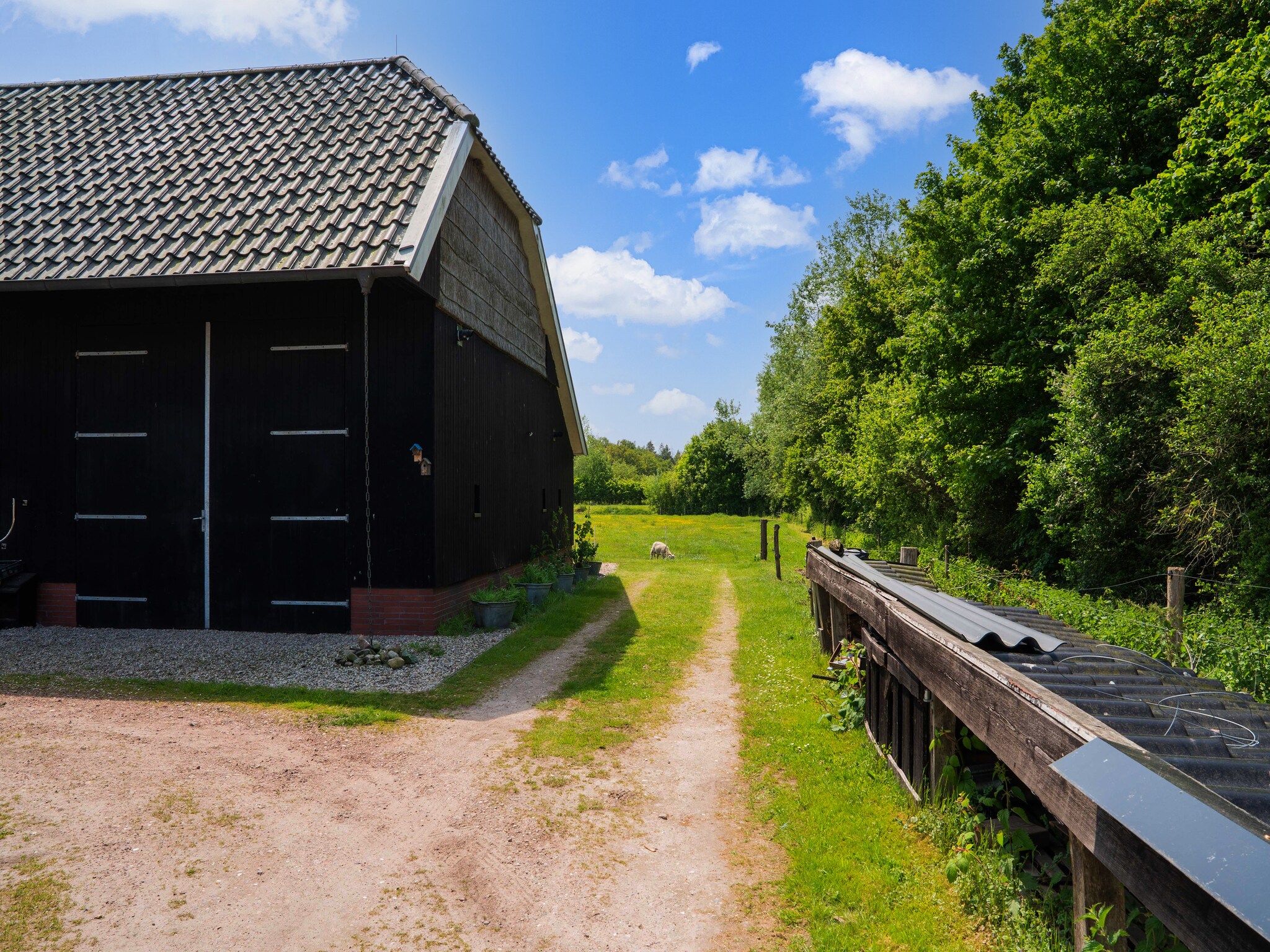 Foto's Heerlijke Cottage in nationaal park Dwingelderveld - Belvilla by Oyo