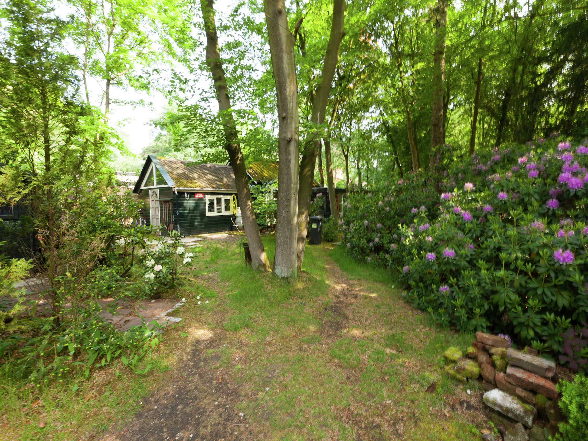 Foto's Midden in het Gooise landschap - Belvilla by Oyo