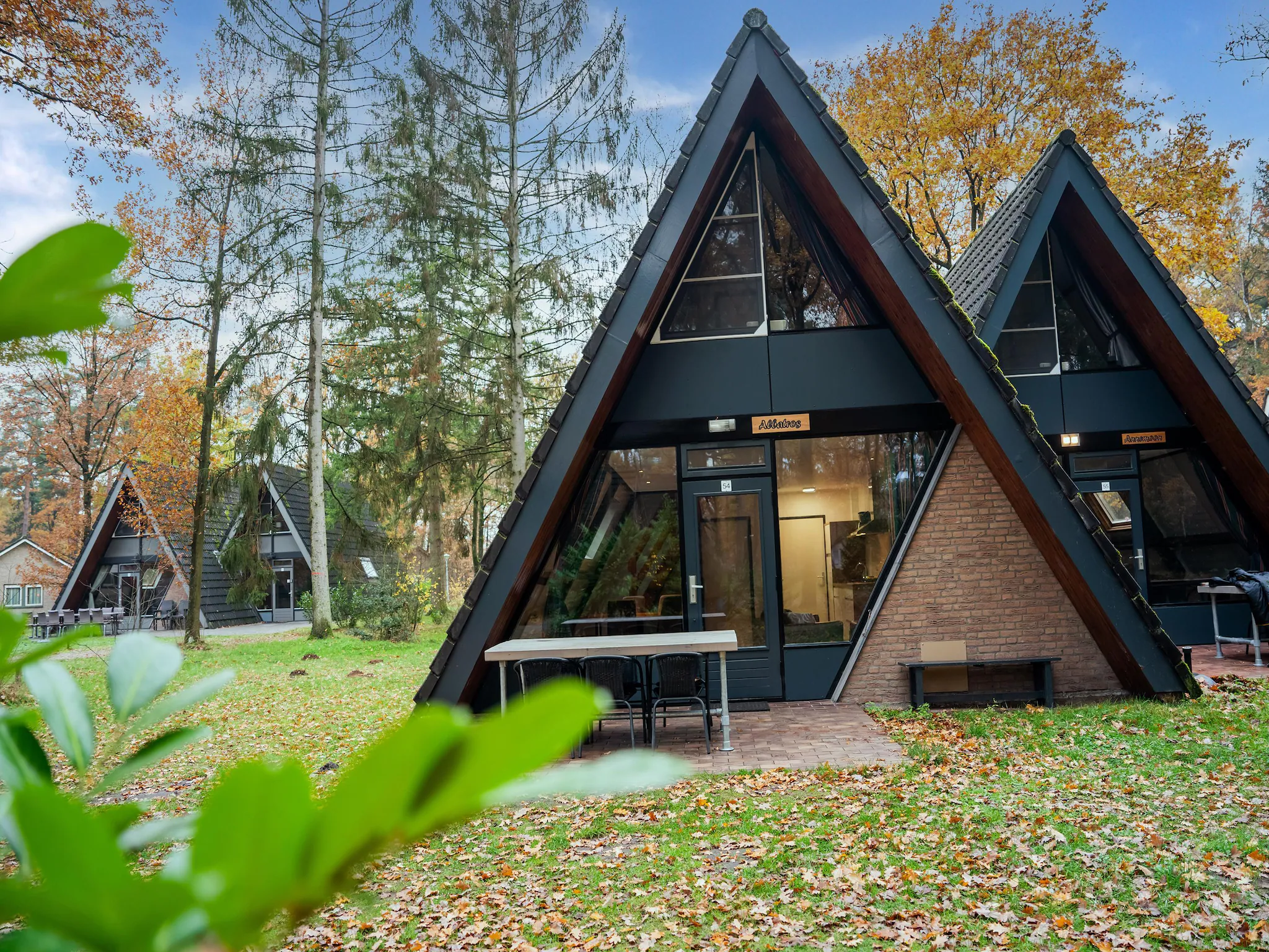 Foto's Vakantiebungalow in Noord-Limburg in het bos - Belvilla by Oyo