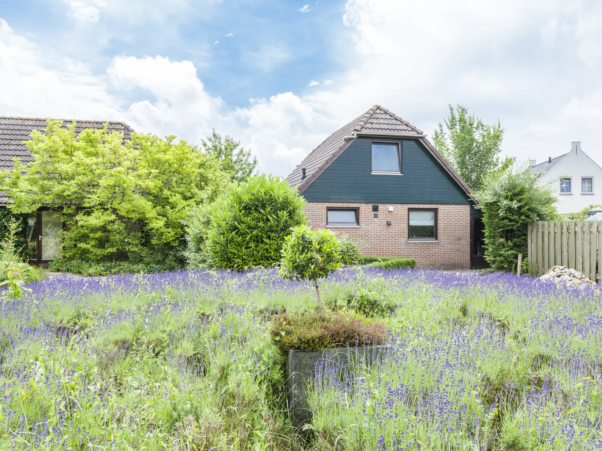 Foto's Heerlijk vakantiehuis in Wolphaartsdijk - Belvilla by Oyo