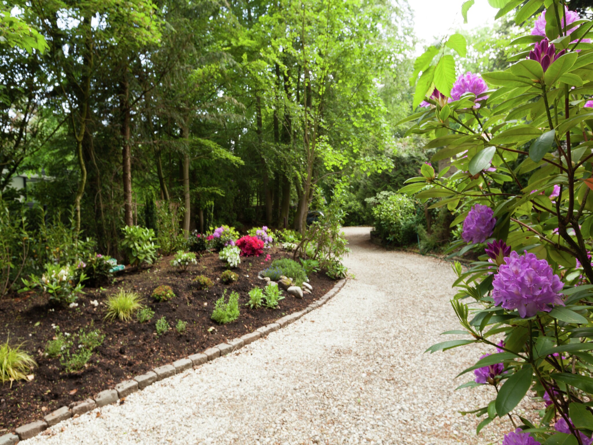 Foto's Midden in het Gooise landschap - Belvilla by Oyo