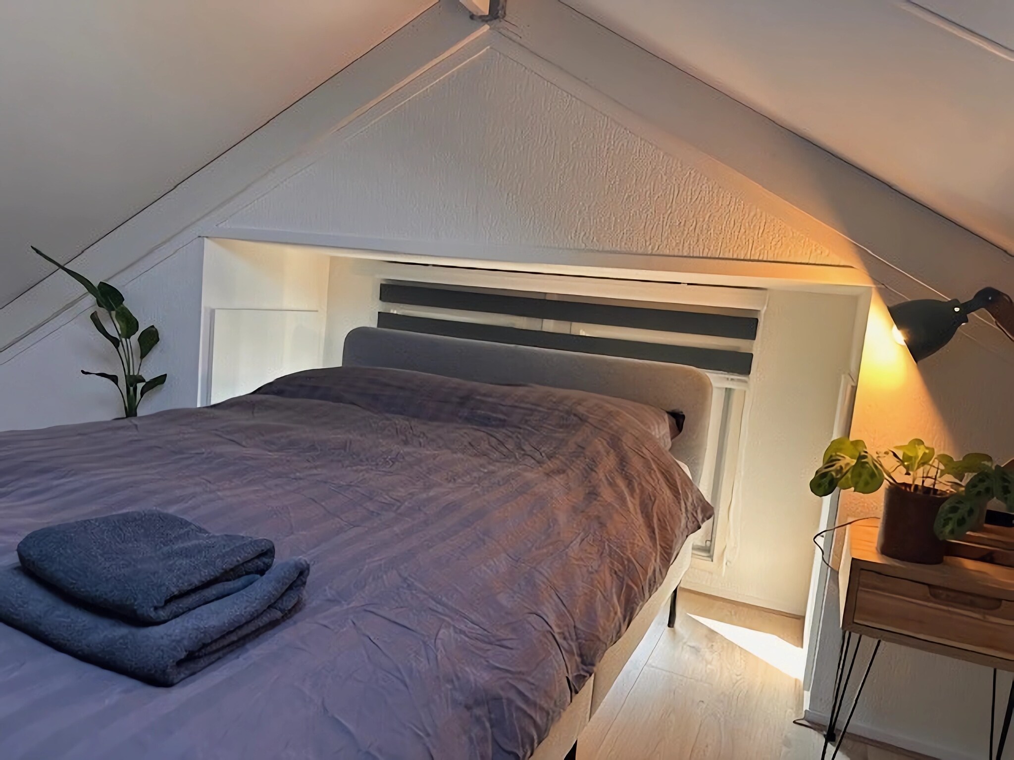 Foto's Gezellige boshut met een barrelsauna - Belvilla by Oyo