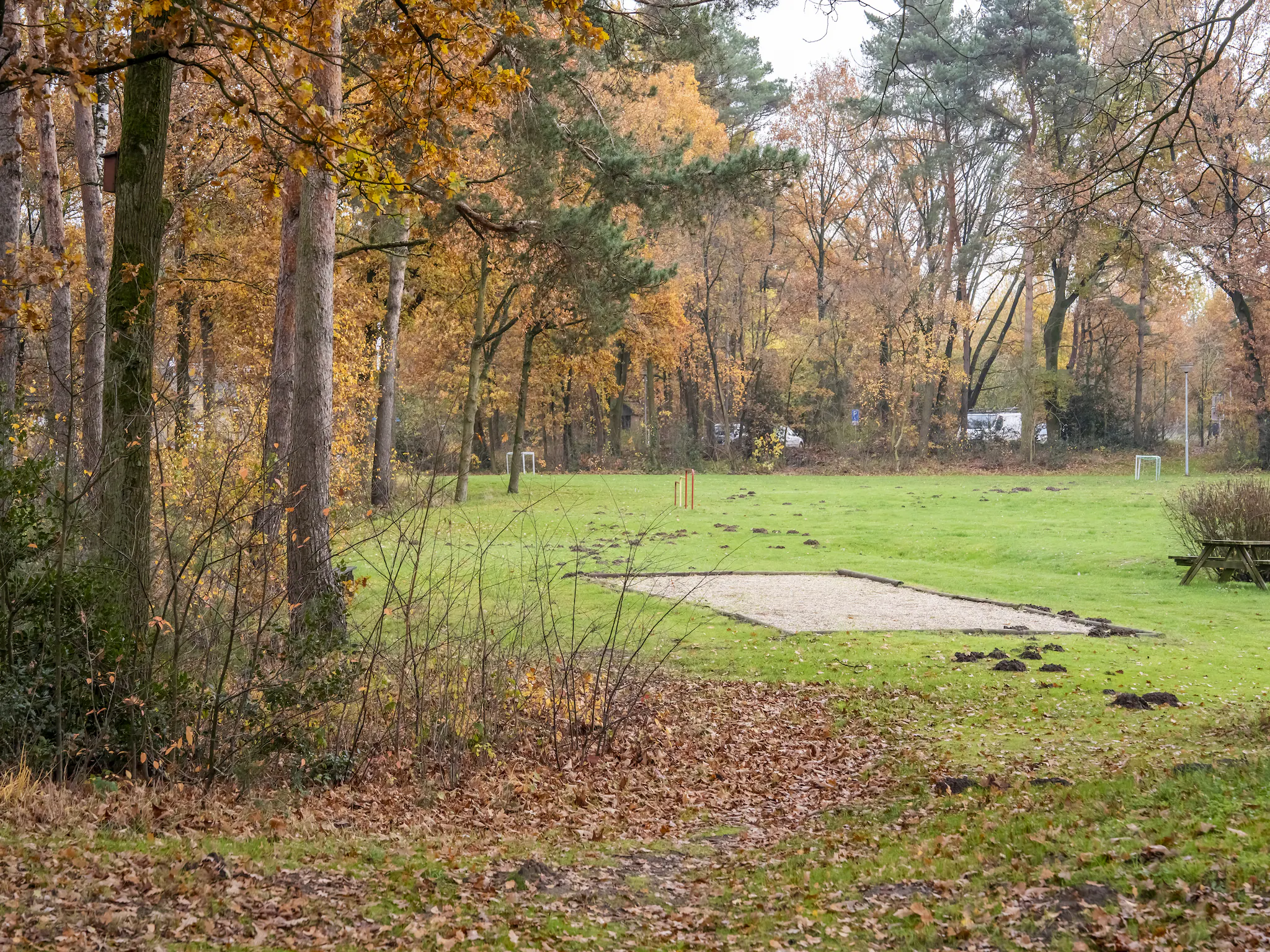 Foto's Comfortabel vakantiehuis in Stramproy in de natuur - Belvilla by Oyo