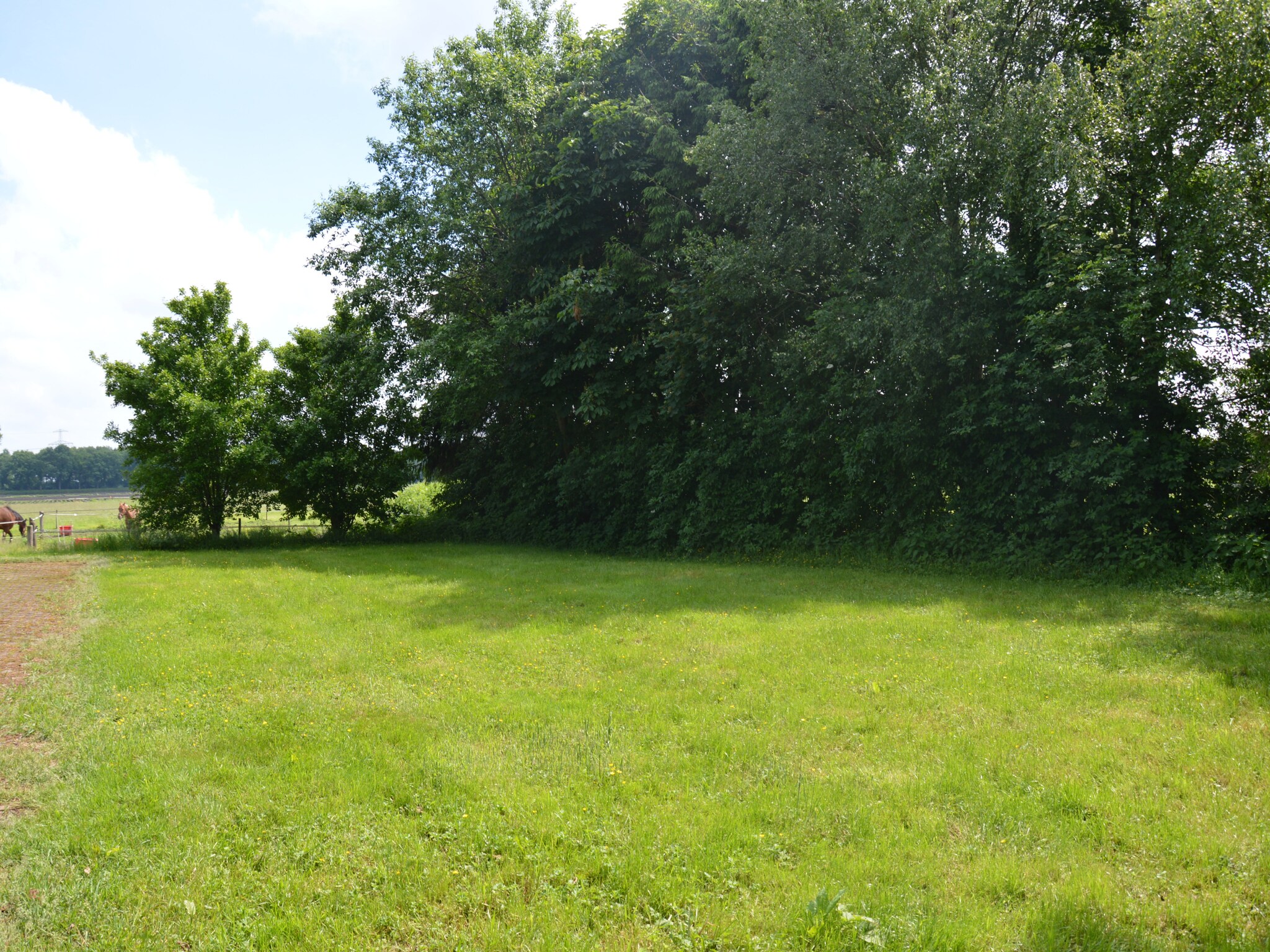 Foto's Vakantiehuis met uitzicht over de weilanden - Belvilla by Oyo