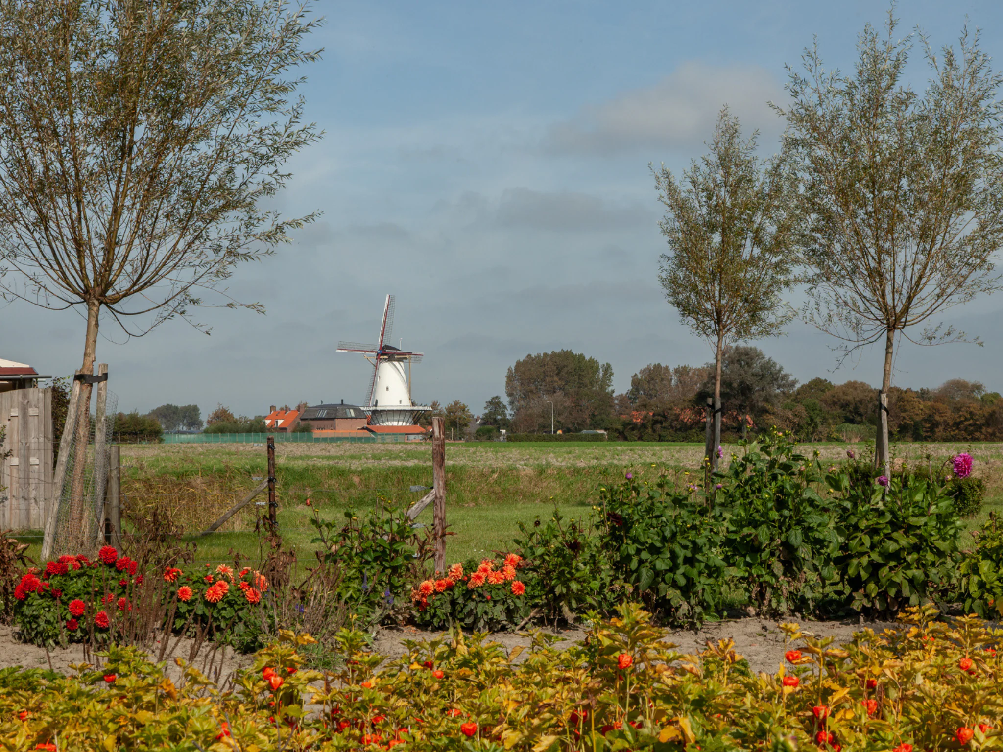 Foto's Romantische studio met tuin - Belvilla by Oyo