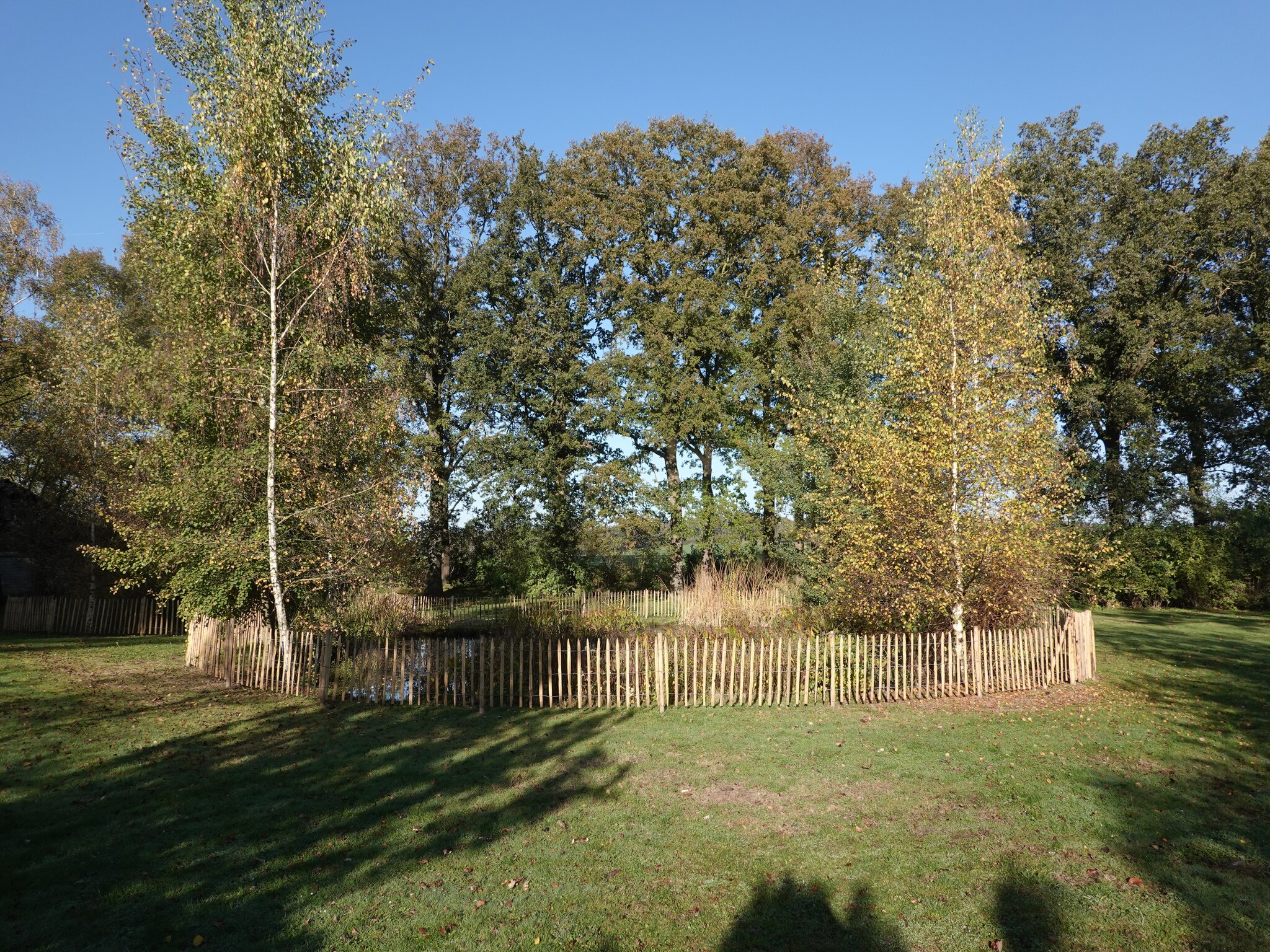 Foto's Villa met sauna bij de Sallandse heuvelrug - Belvilla by Oyo