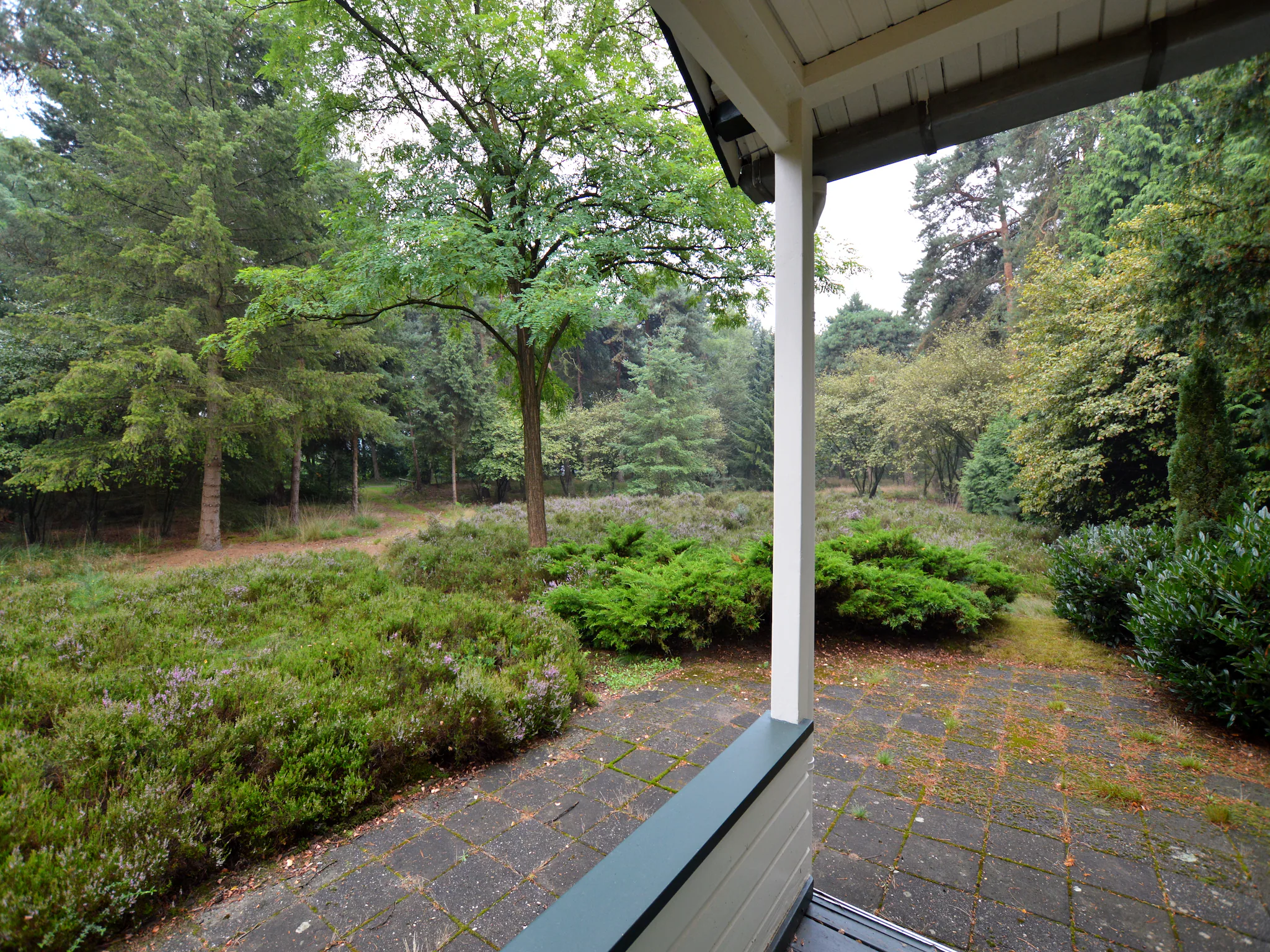 Foto's Houten vakantiehuis in Maarheeze midden op de heide - Belvilla by Oyo