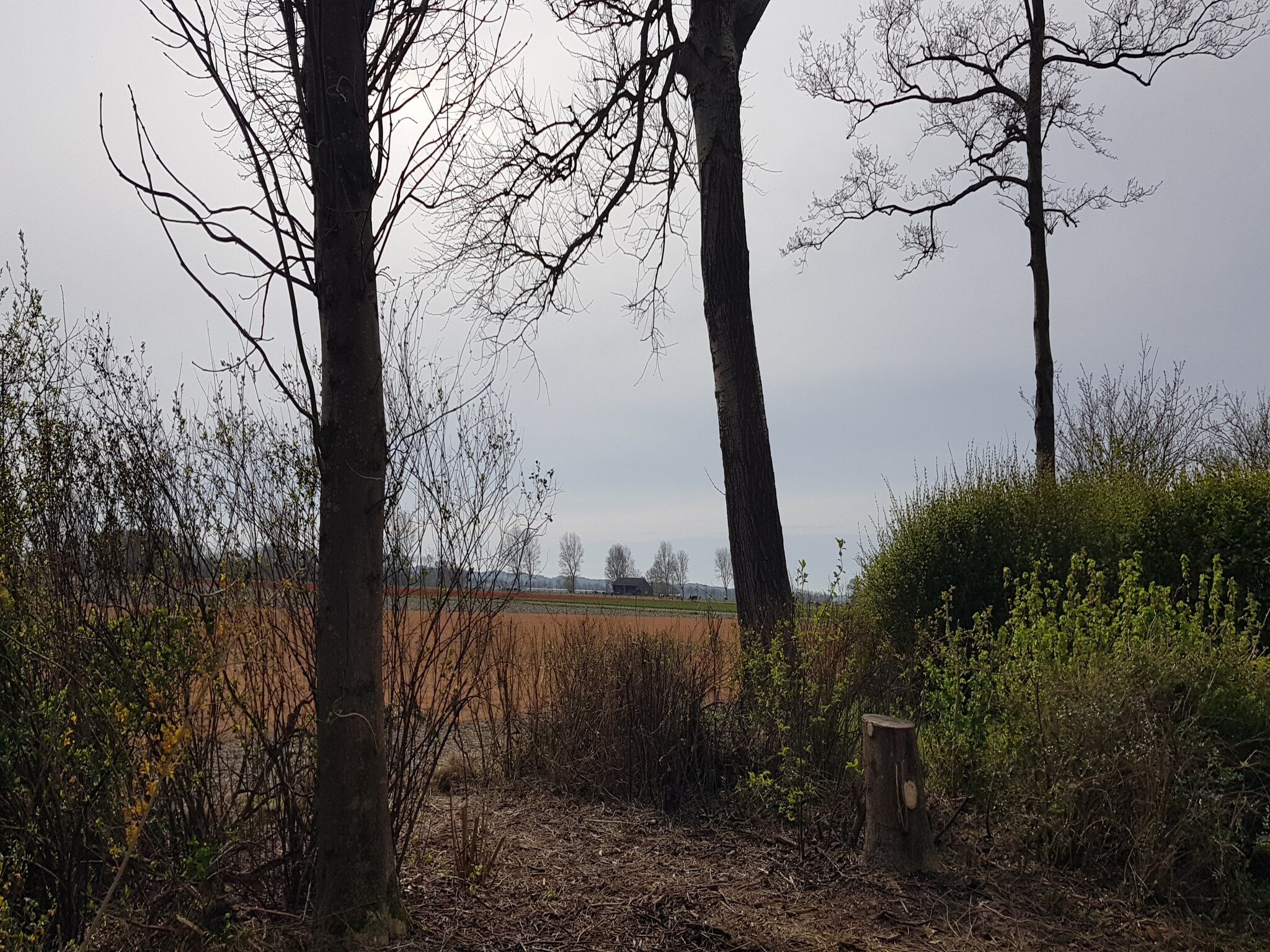 Foto's Huisje met weids uitzicht en tuin op het zuiden - Belvilla by Oyo