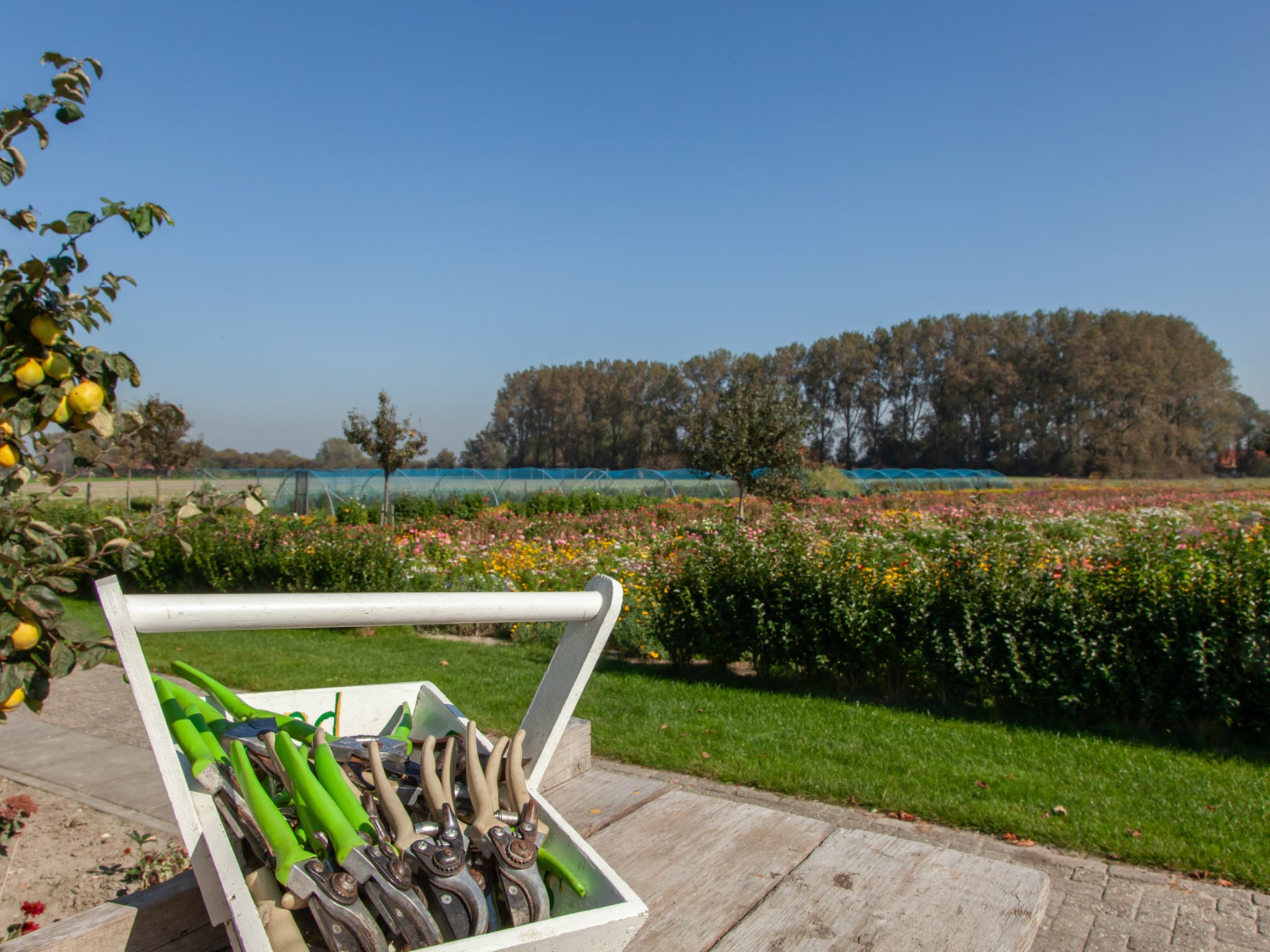 Foto's Romantische studio met tuin - Belvilla by Oyo