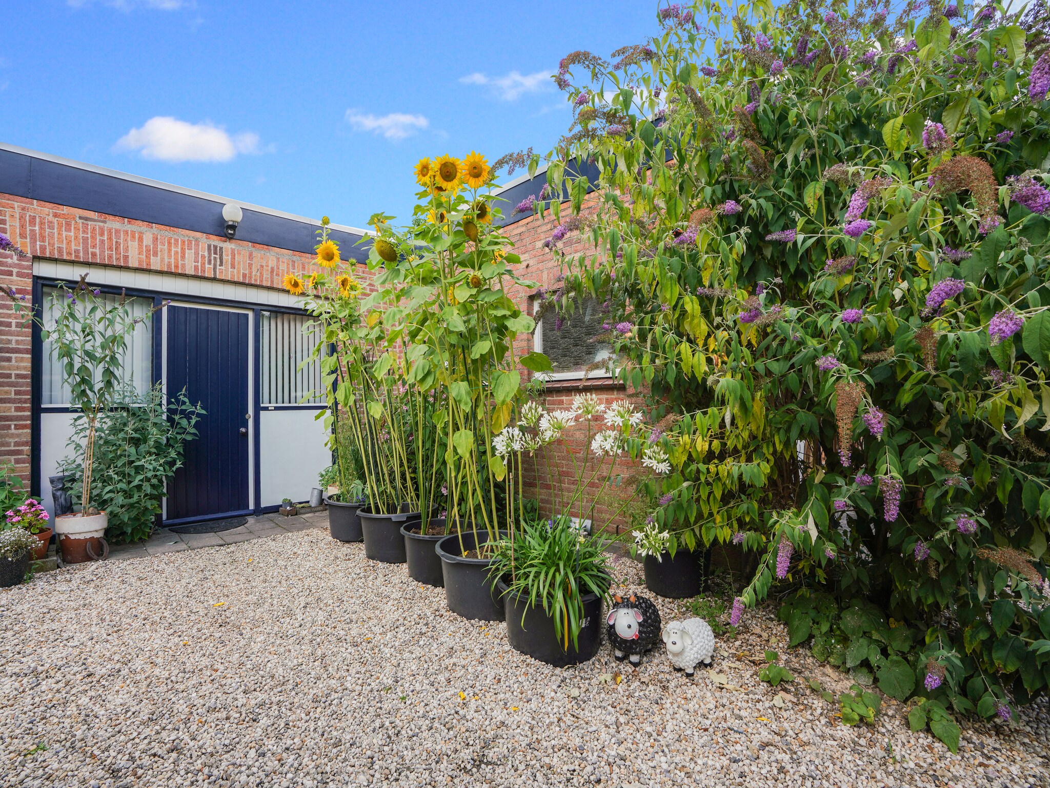 Foto's Gezellige bungalow in Landgraaf met terras en natuurtuin - Belvilla by Oyo