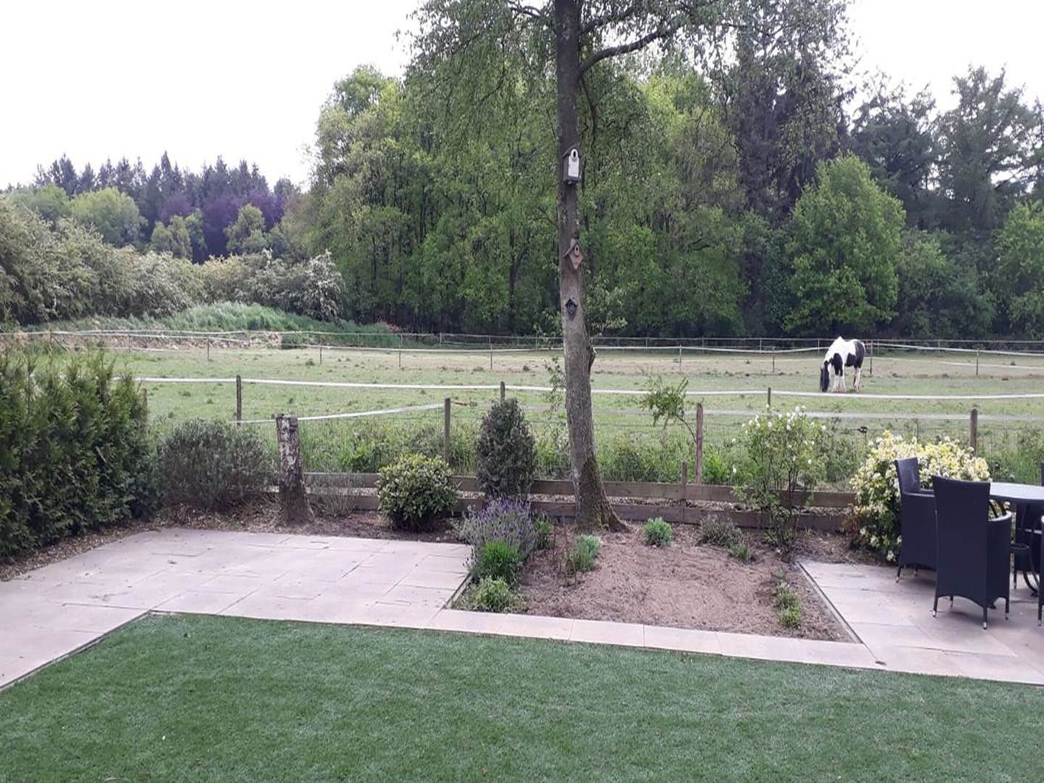 Foto's Ruim chalet met tuin in Garderen - Belvilla by Oyo