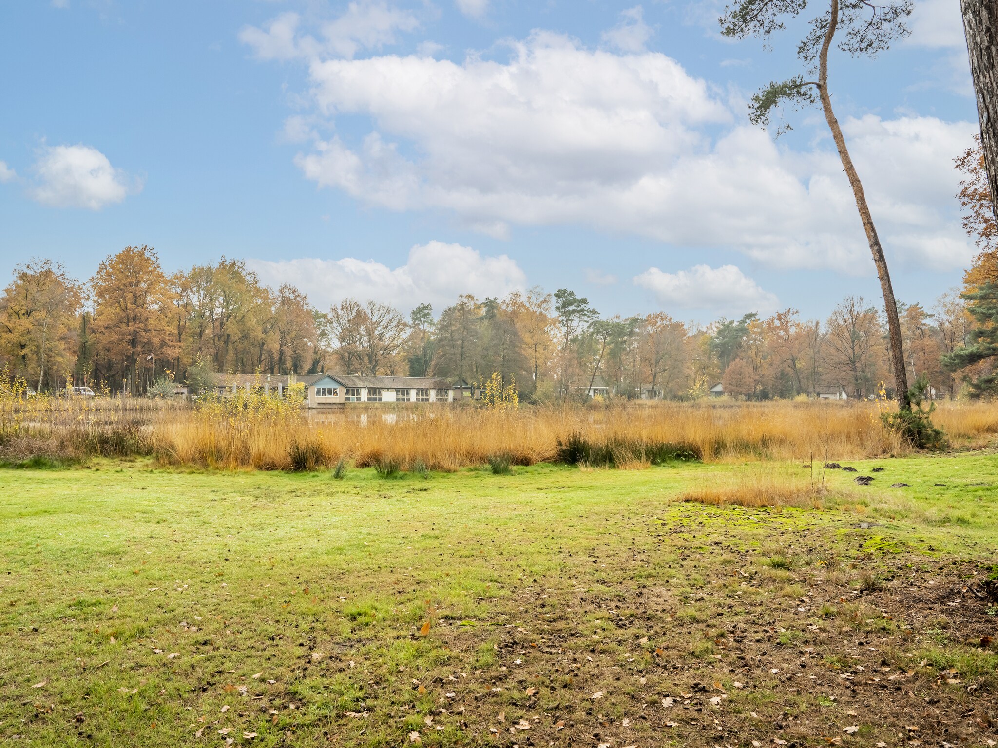 Foto's Comfortabel vakantiehuis in Stramproy in de natuur - Belvilla by Oyo