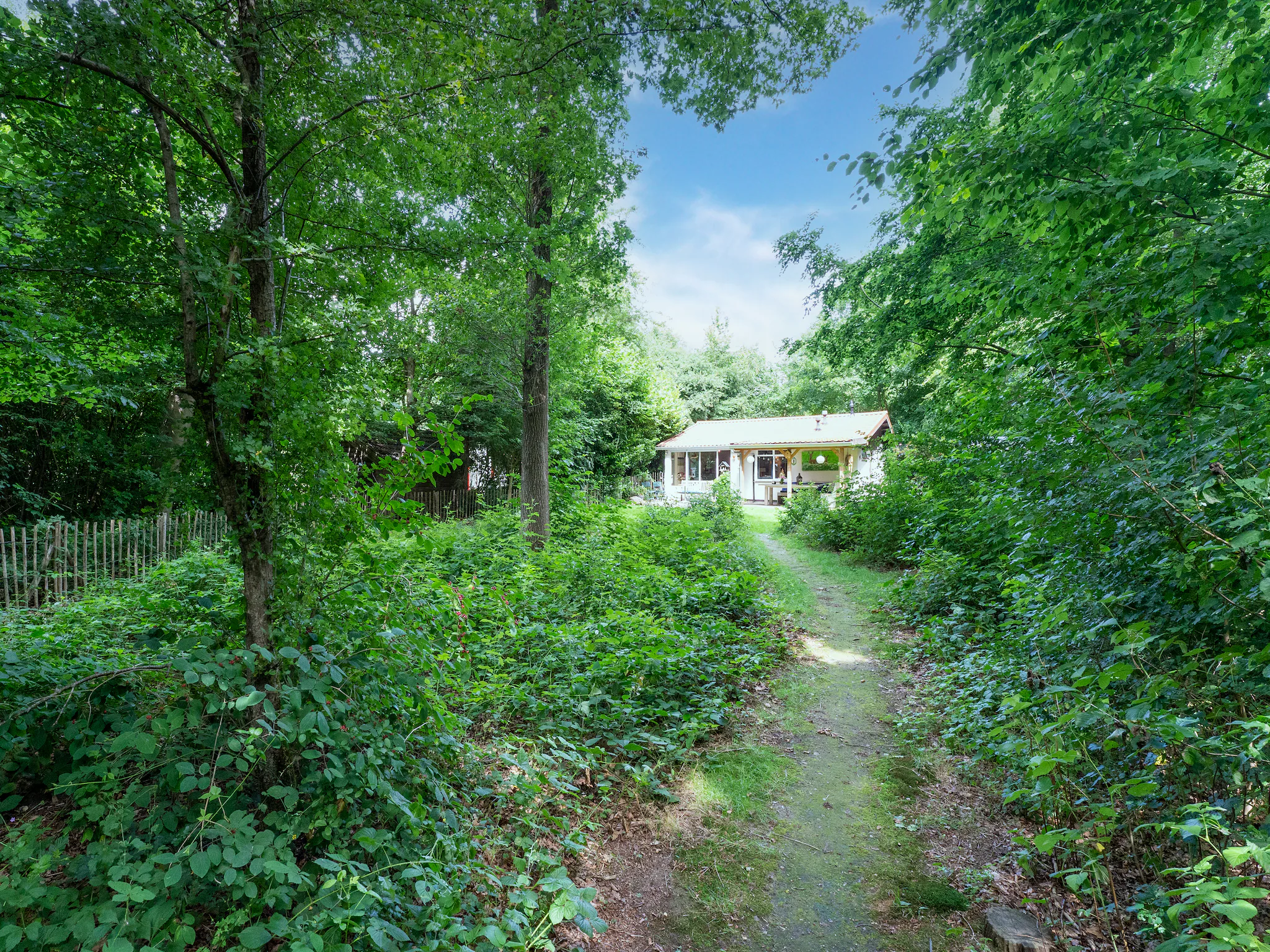 Foto's Pittoresk vakantiehuis op park Hunzebergen - Belvilla by Oyo