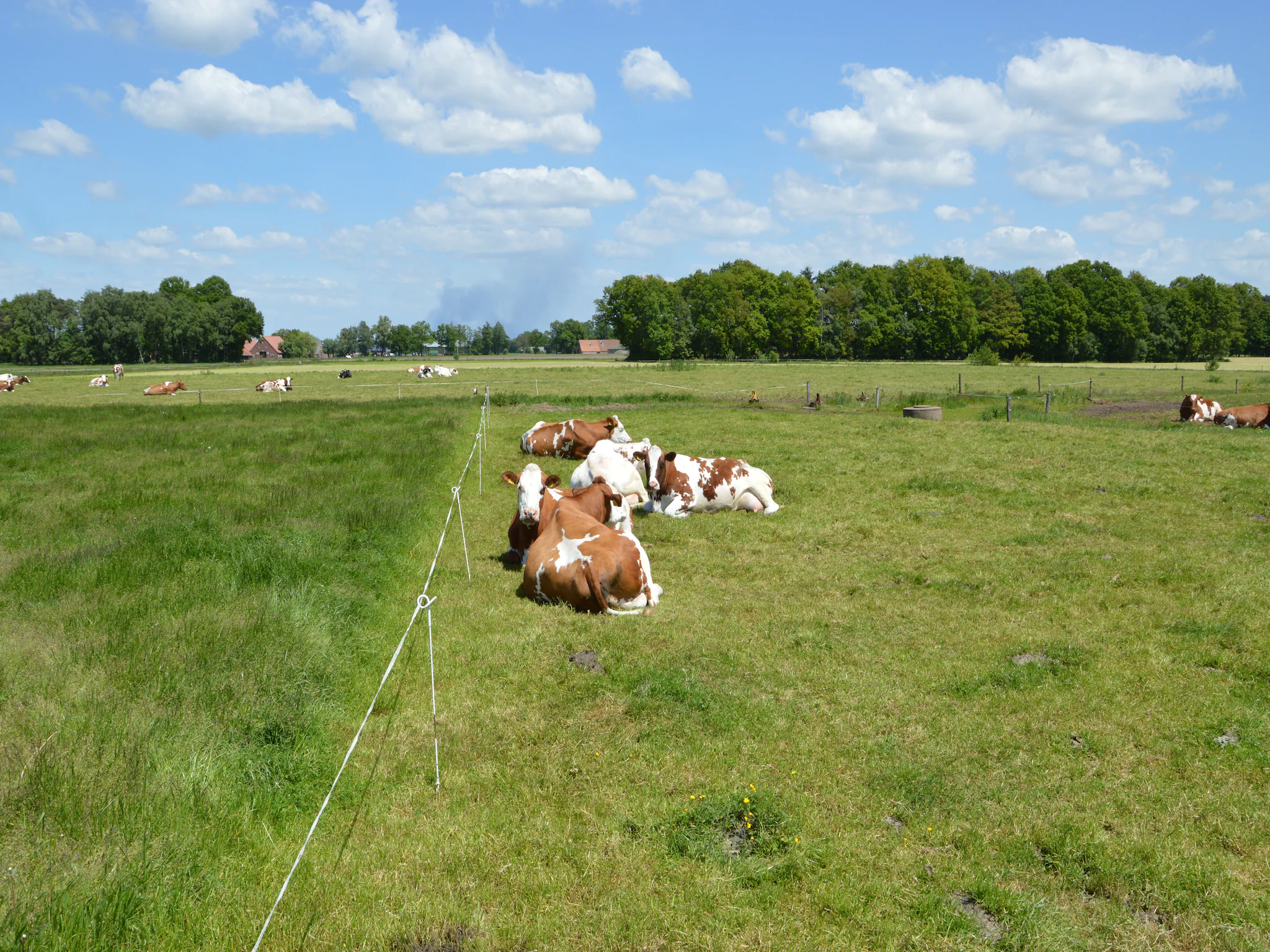 Foto's Leuk appartement in Haaksbergen met uitzicht op weilanden - Belvilla by Oyo