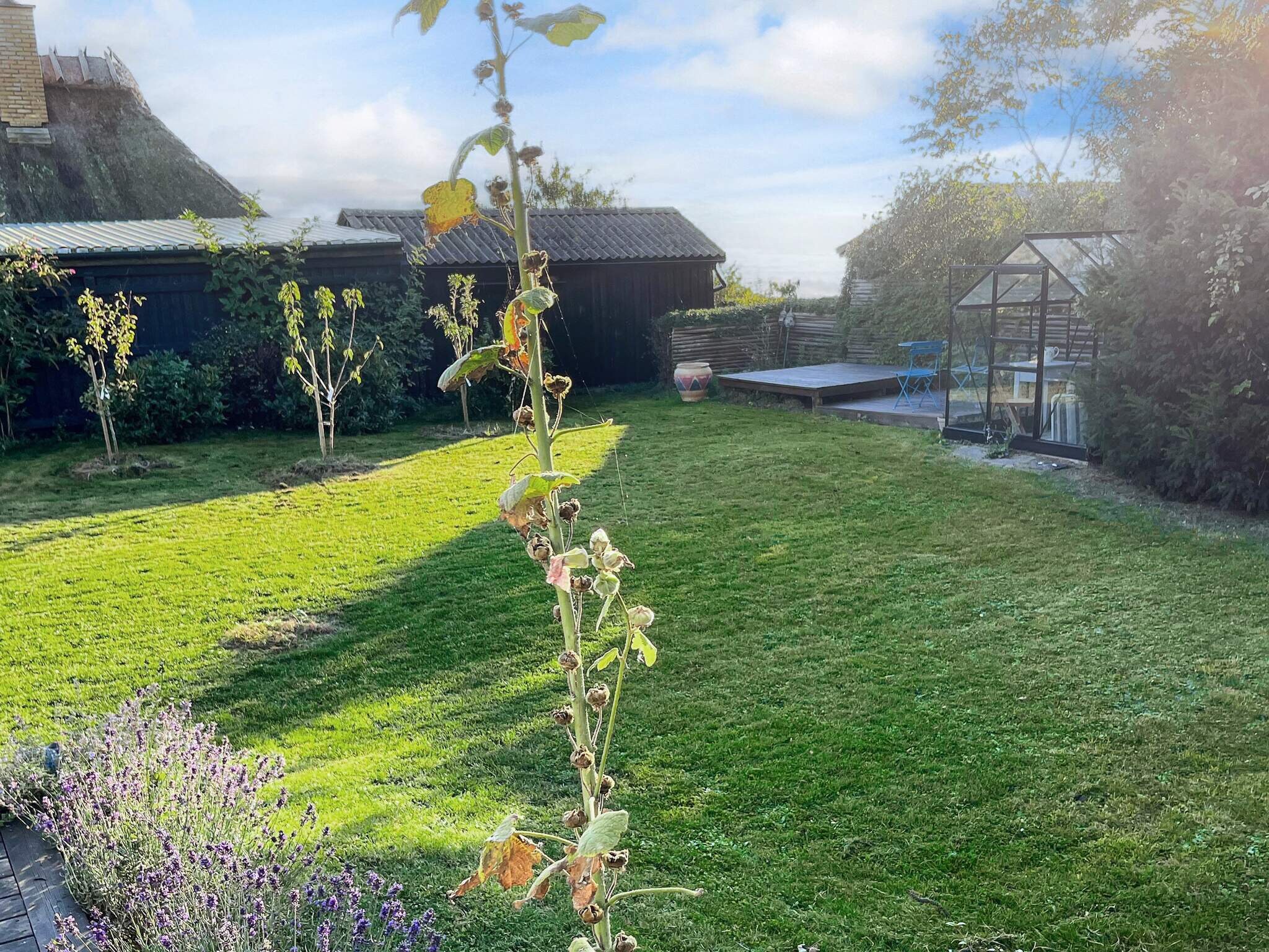 Images 6 person feriebolig i Rude- Dancenter