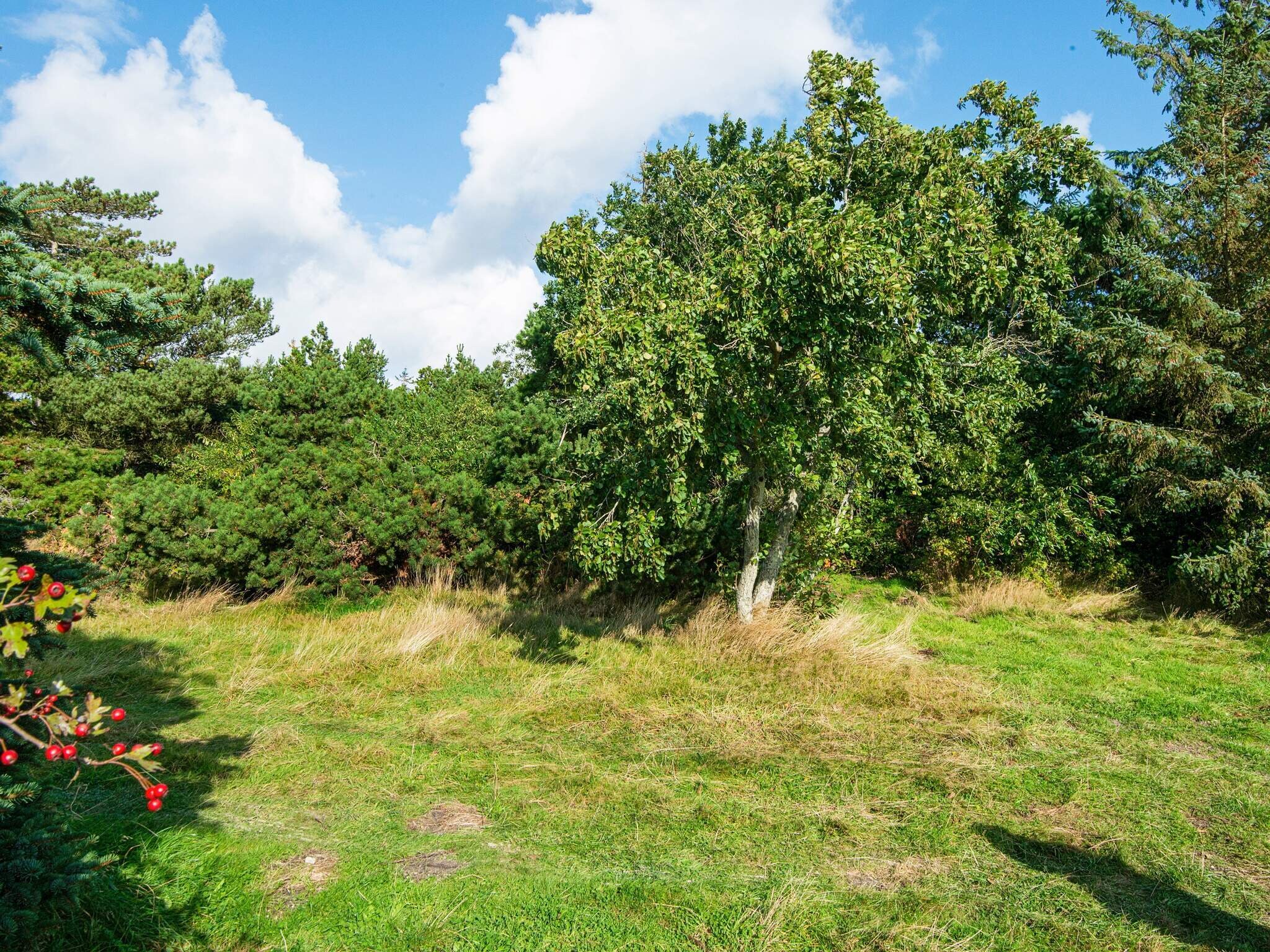 Images 9 person feriebolig i RÃ¸mÃ¸- Dancenter