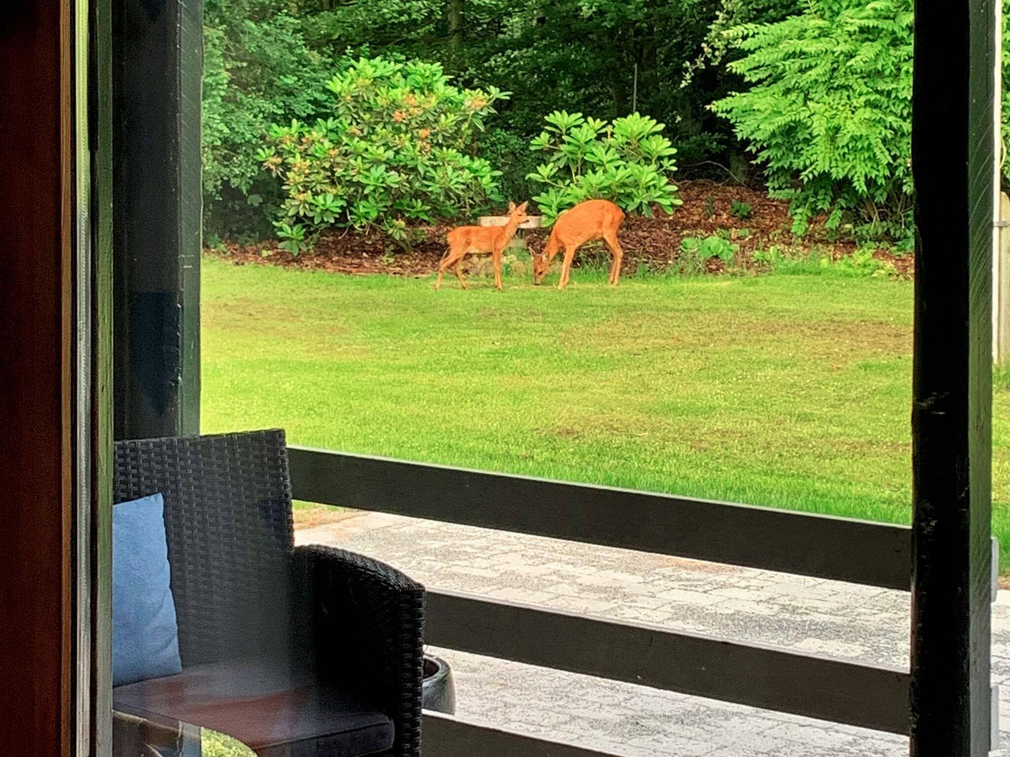 Images 4 person feriebolig i Toftlund- Dancenter