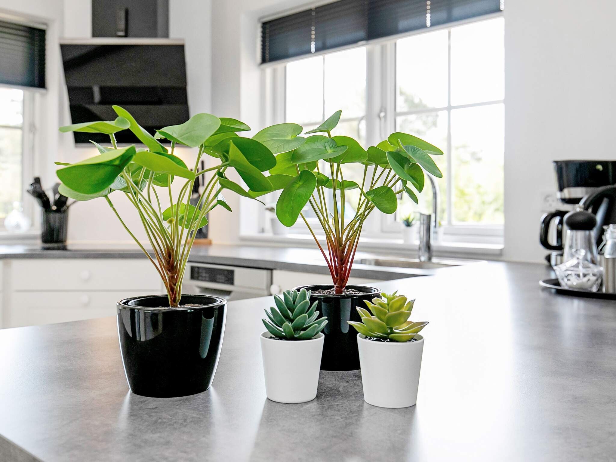 Images 8 person feriebolig i LÃ¦sÃ¸- Dancenter