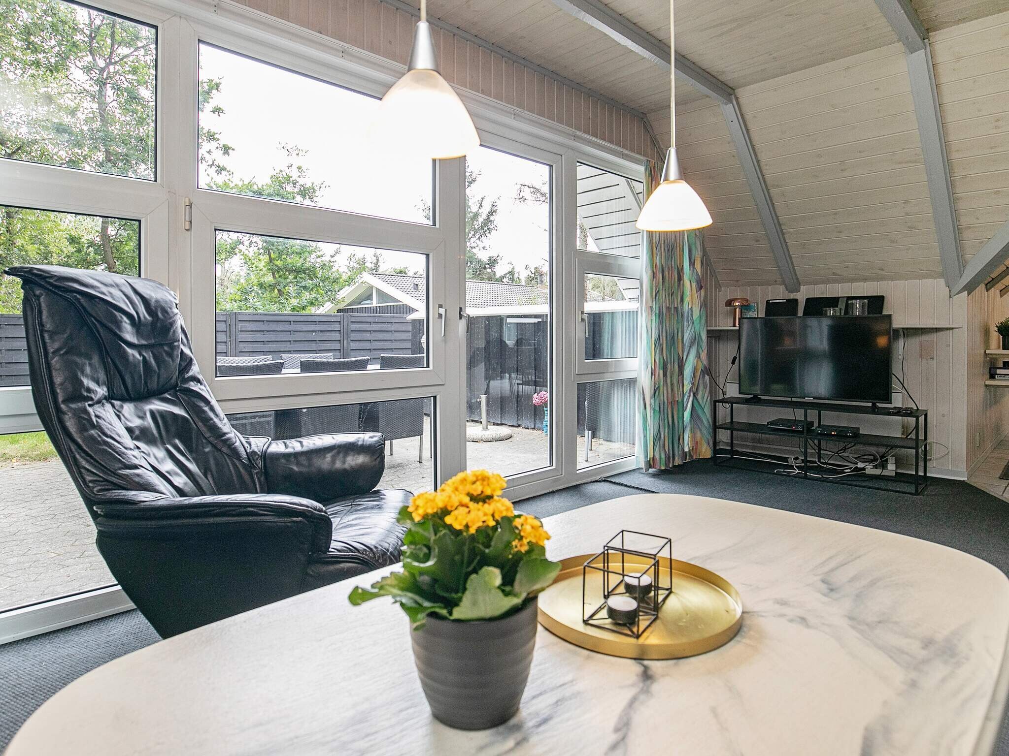 Images 8 person feriebolig i BlÃ¥vand- Dancenter