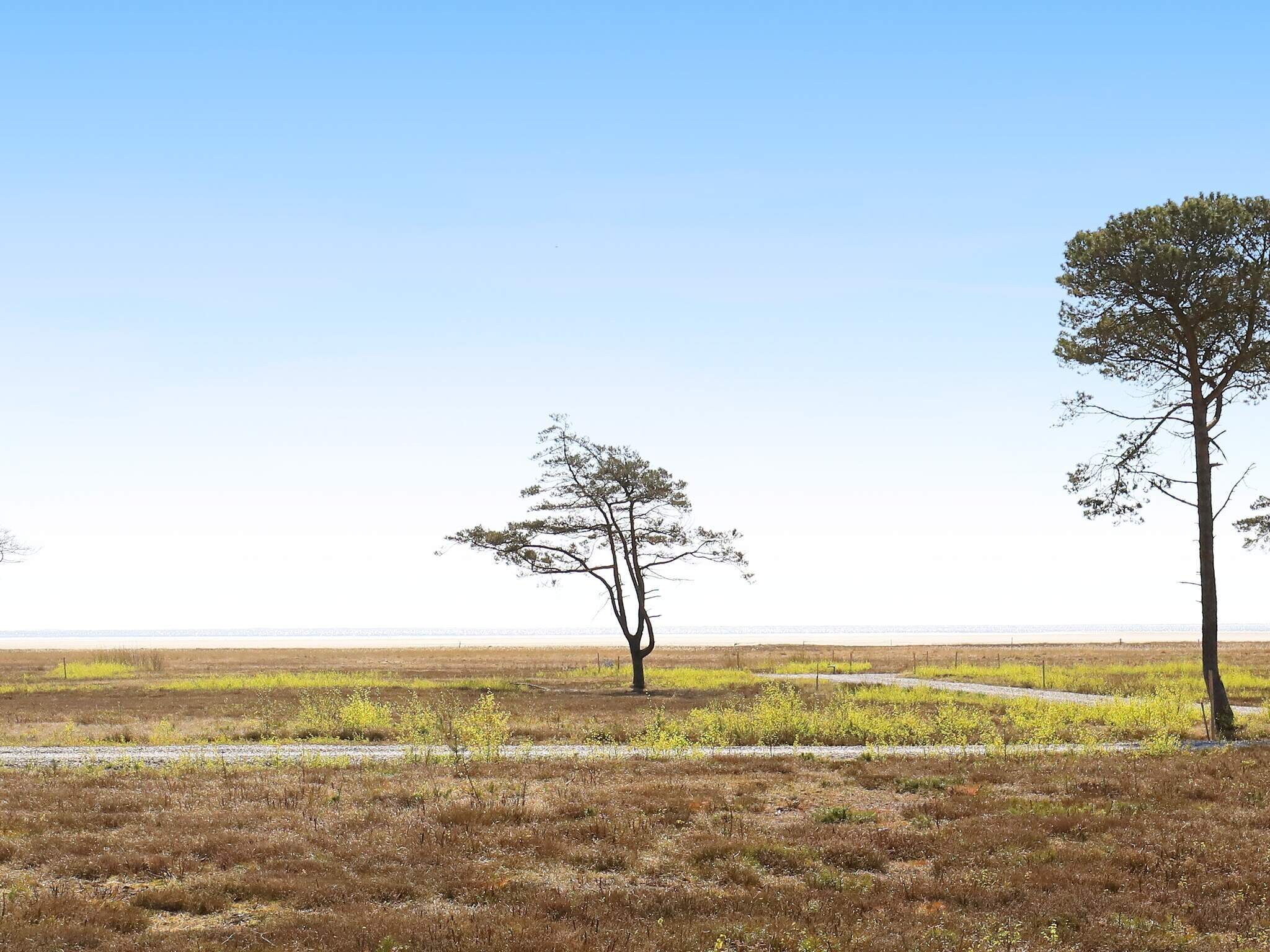 Images 14 person feriebolig i LÃ¦sÃ¸- Dancenter