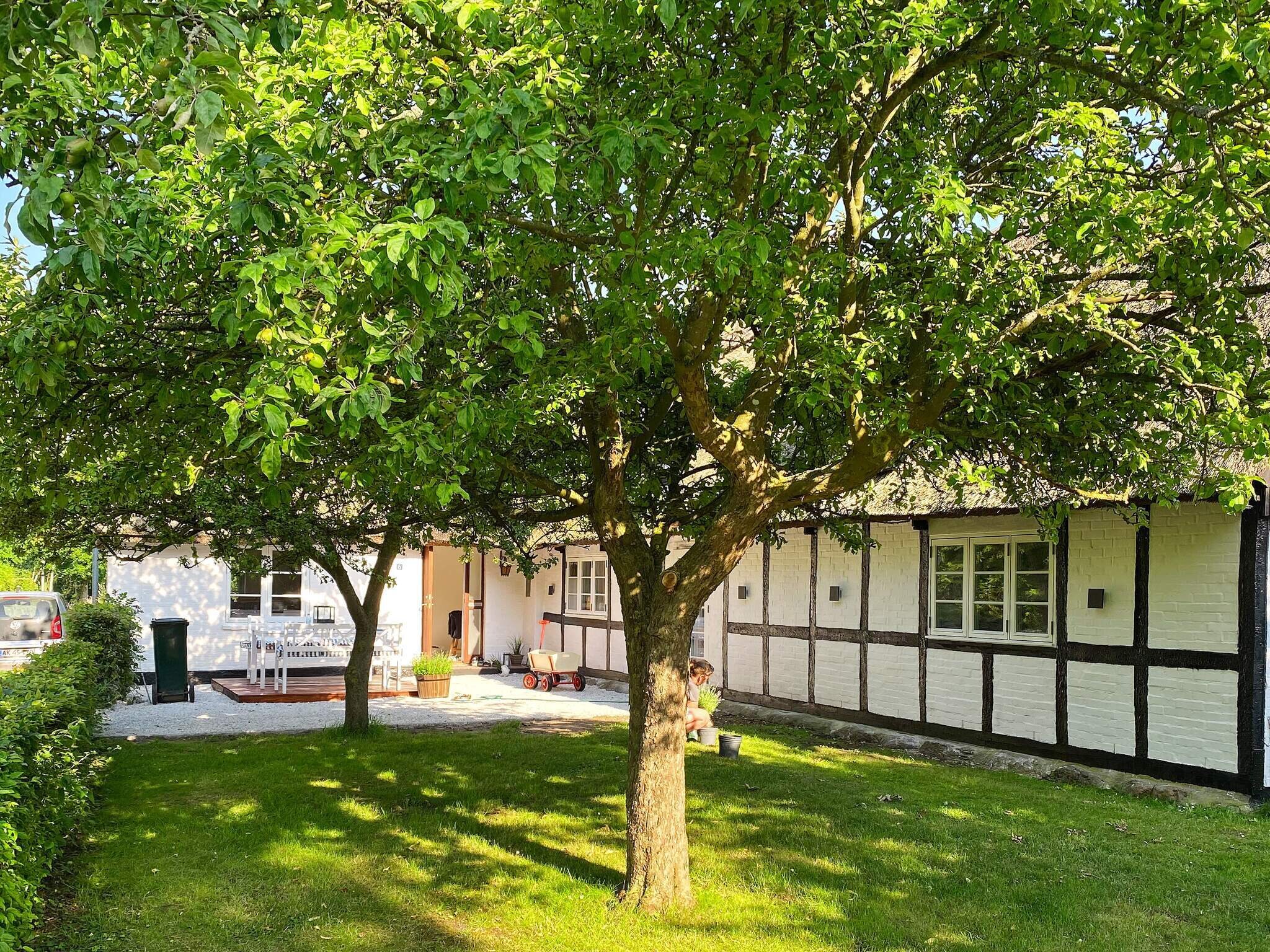 Images 6 person feriebolig i Gedser- Dancenter