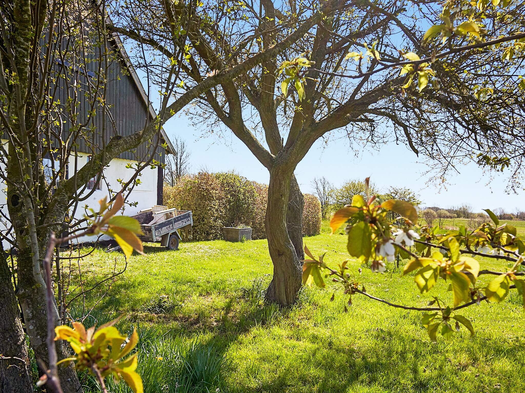 Images 6 person feriebolig i Aakirkeby- Dancenter