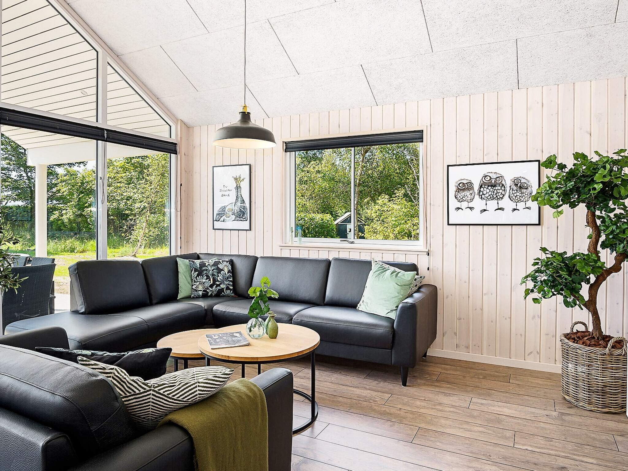 Images 18 person feriebolig i BlÃ¥vand- Dancenter