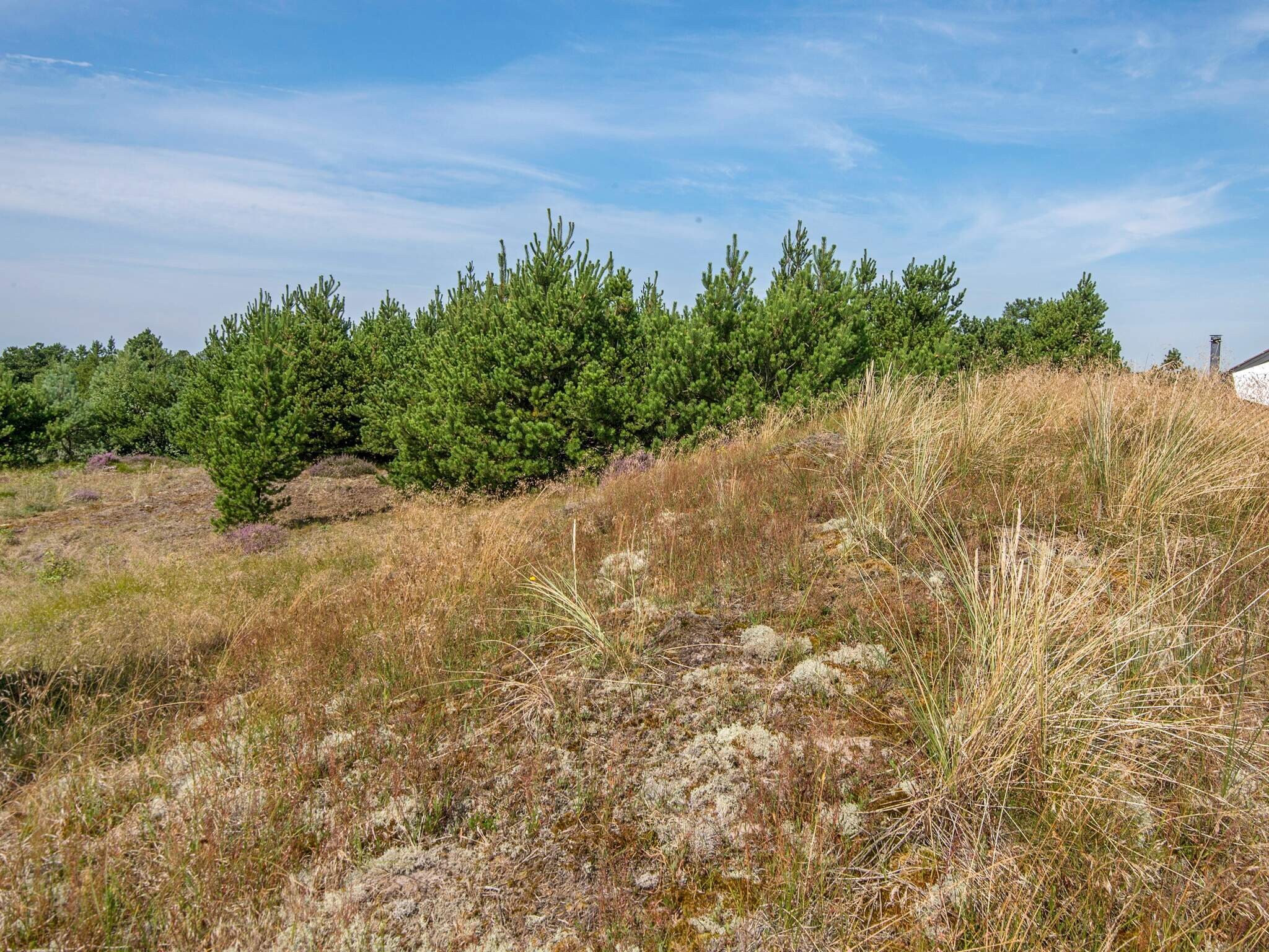 Images 6 person feriebolig i RÃ¸mÃ¸- Dancenter