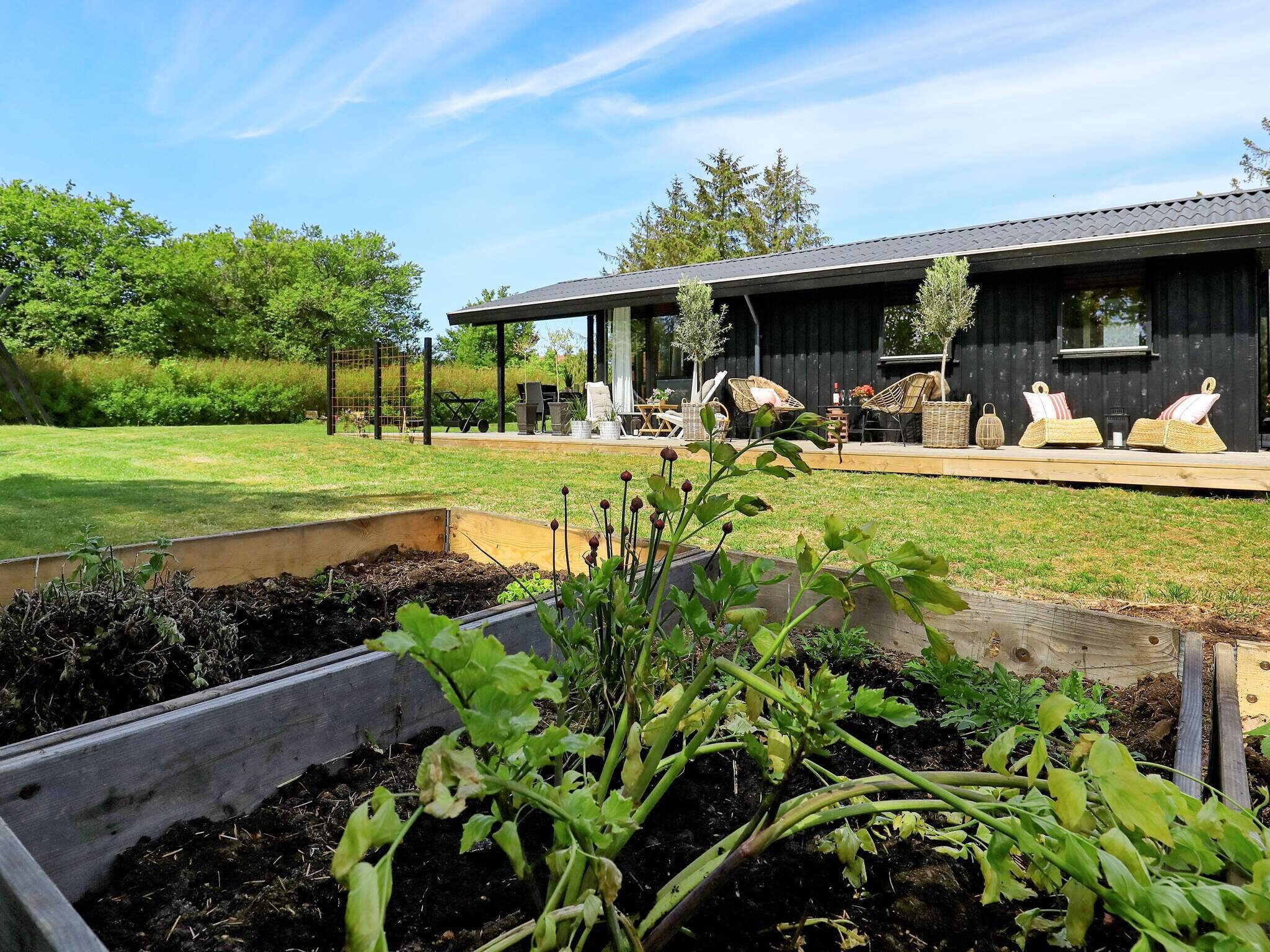 Images 5 person feriebolig i Hals- Dancenter