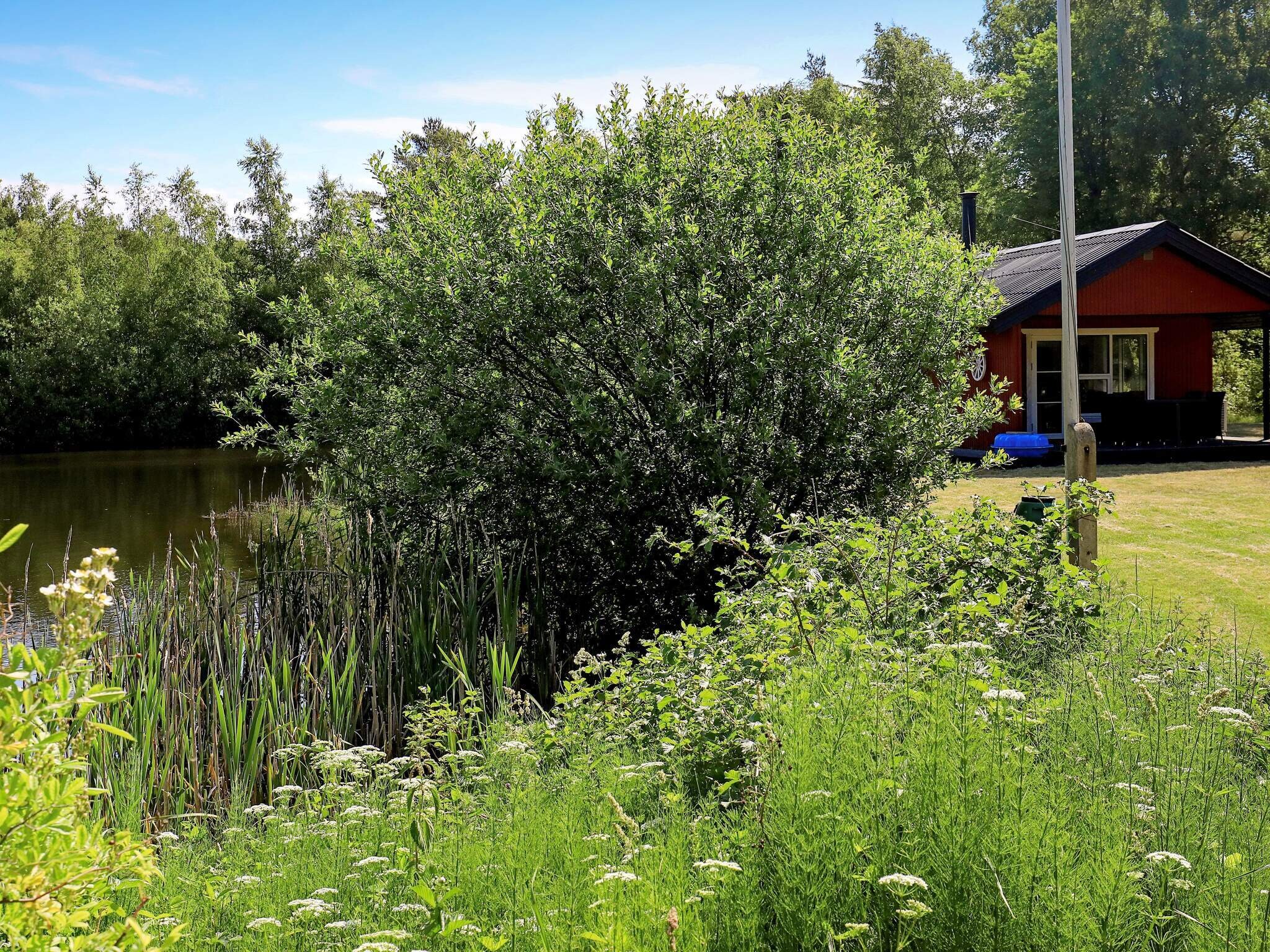 Images 4 person feriebolig i LÃ¦sÃ¸- Dancenter