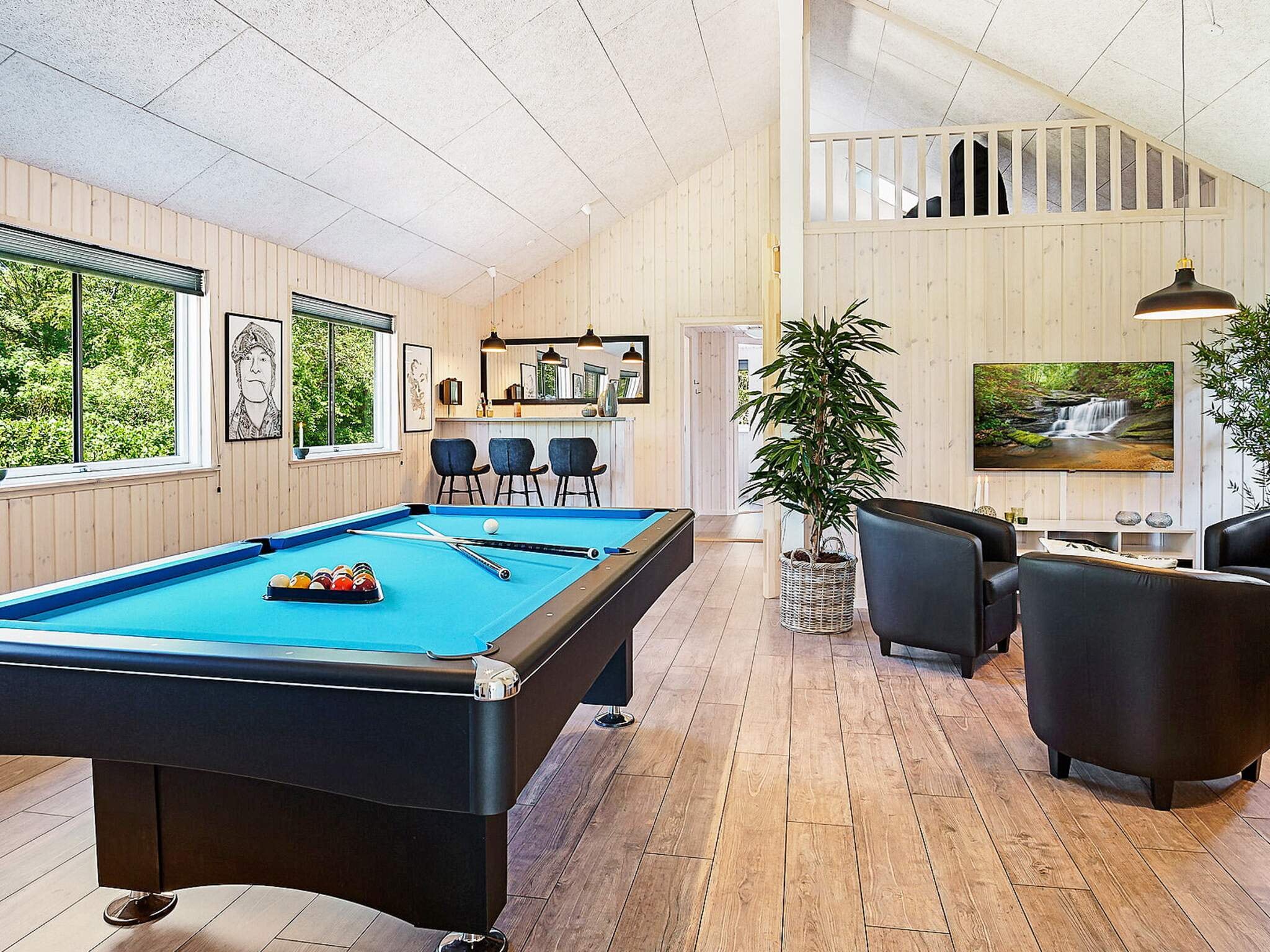 Images 18 person feriebolig i BlÃ¥vand- Dancenter