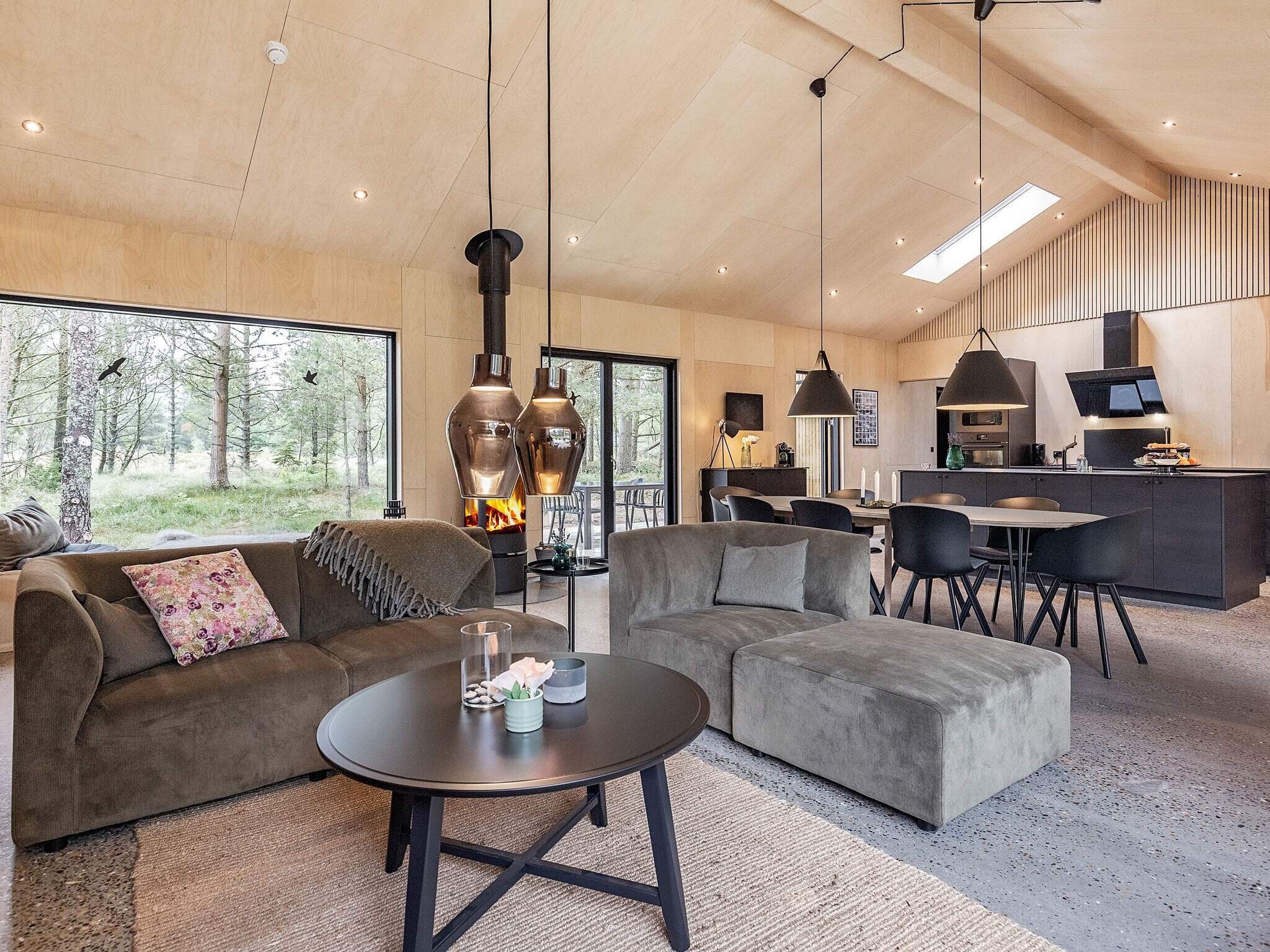 Images 8 person feriebolig i Ã…lbÃ¦k- Dancenter