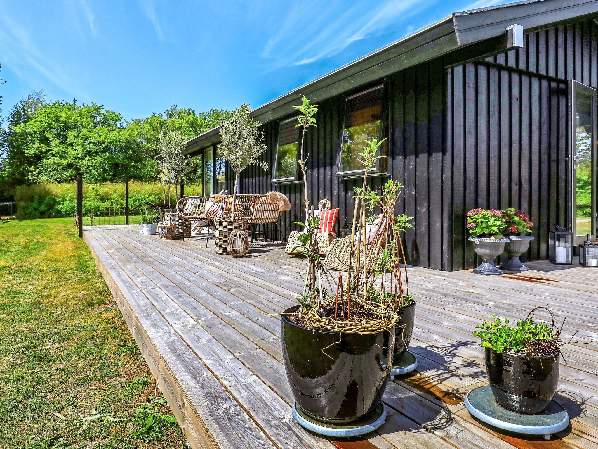 Images 5 person feriebolig i Hals- Dancenter