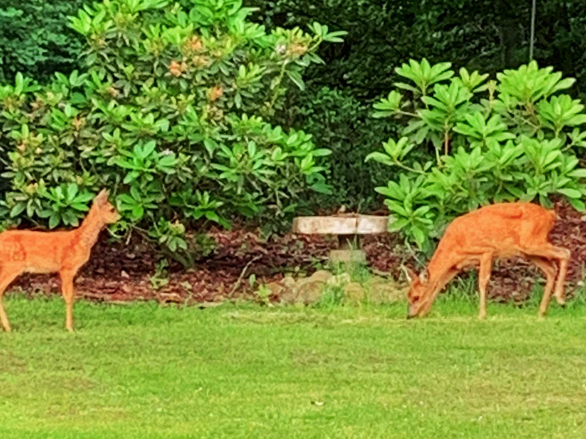 Images 4 person feriebolig i Toftlund- Dancenter
