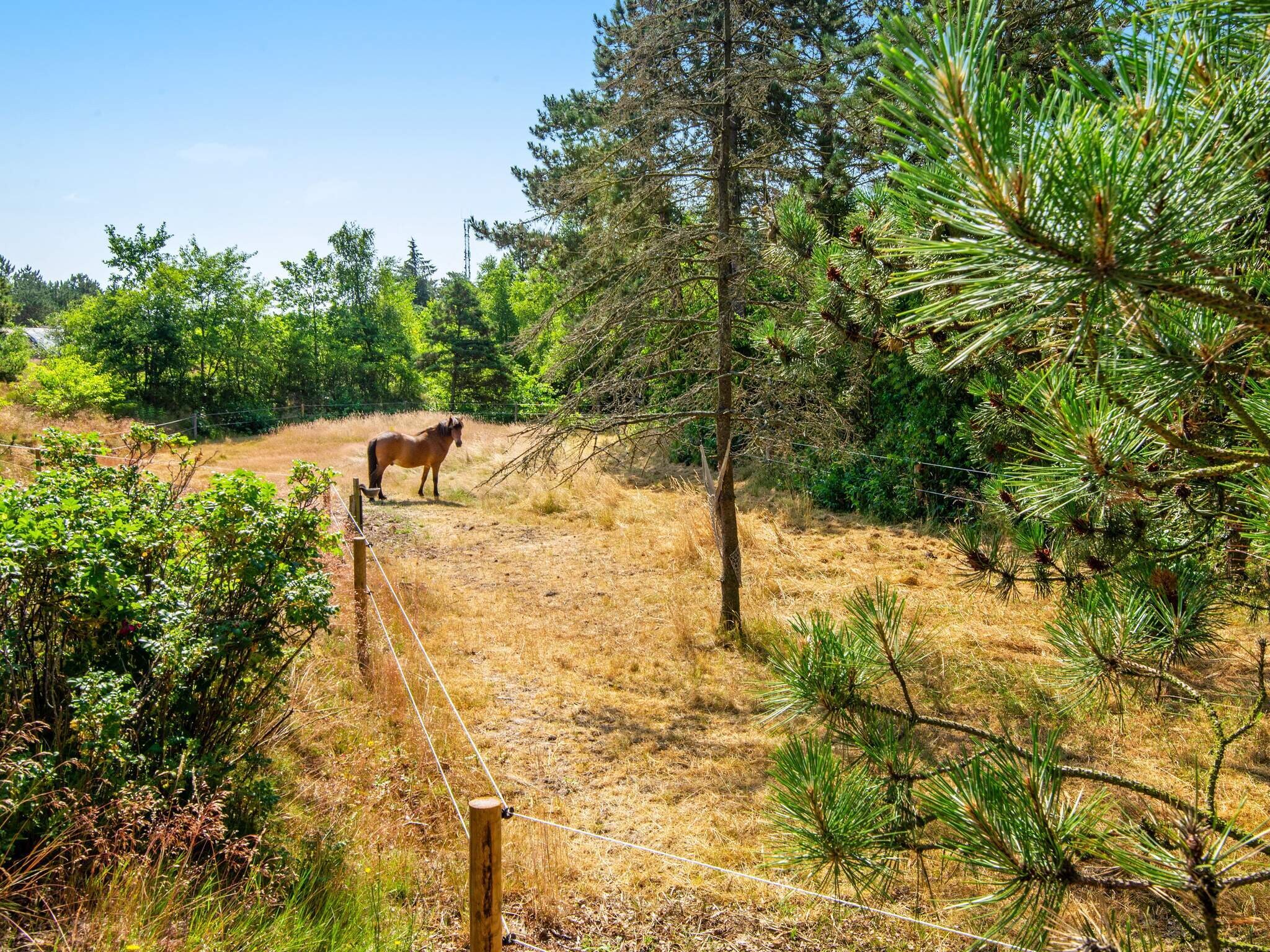 Images 7 person feriebolig i RÃ¸mÃ¸- Dancenter