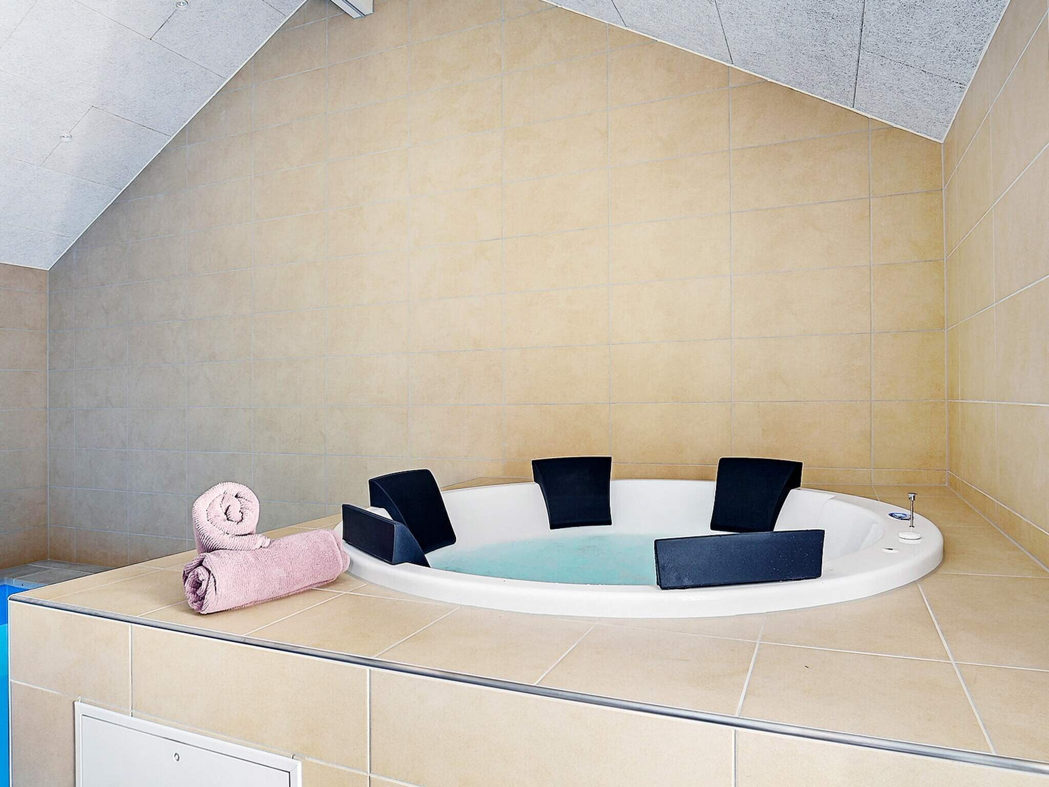 Images 18 person feriebolig i BlÃ¥vand- Dancenter