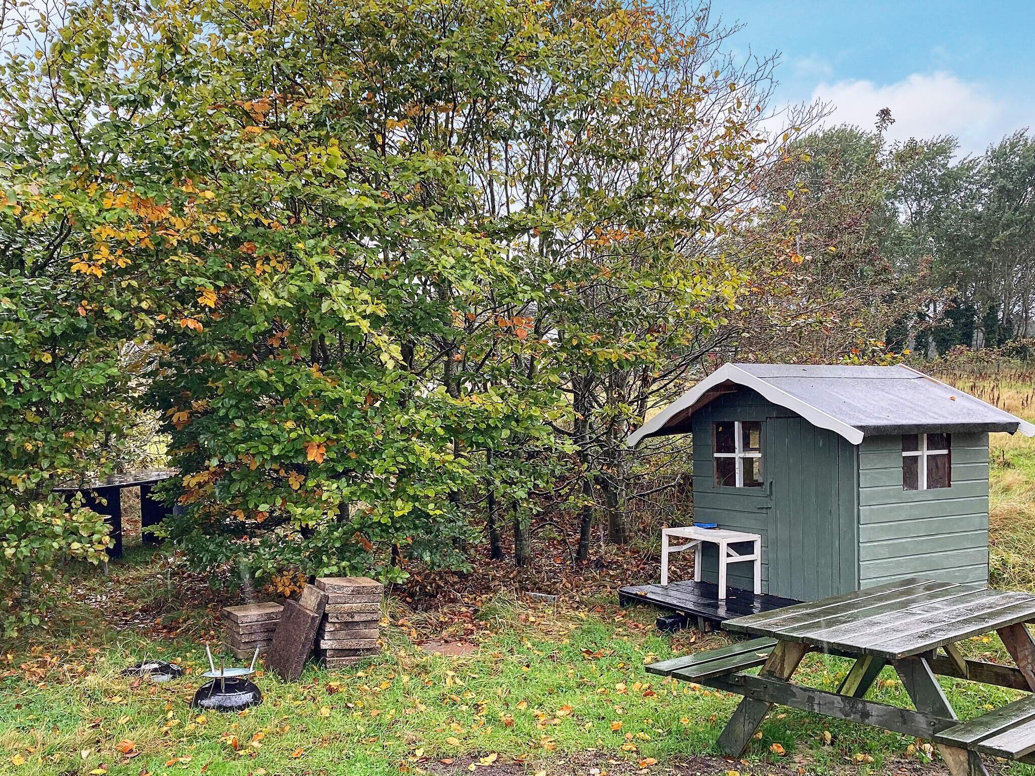 Images 9 person feriebolig i RÃ¸mÃ¸- Dancenter